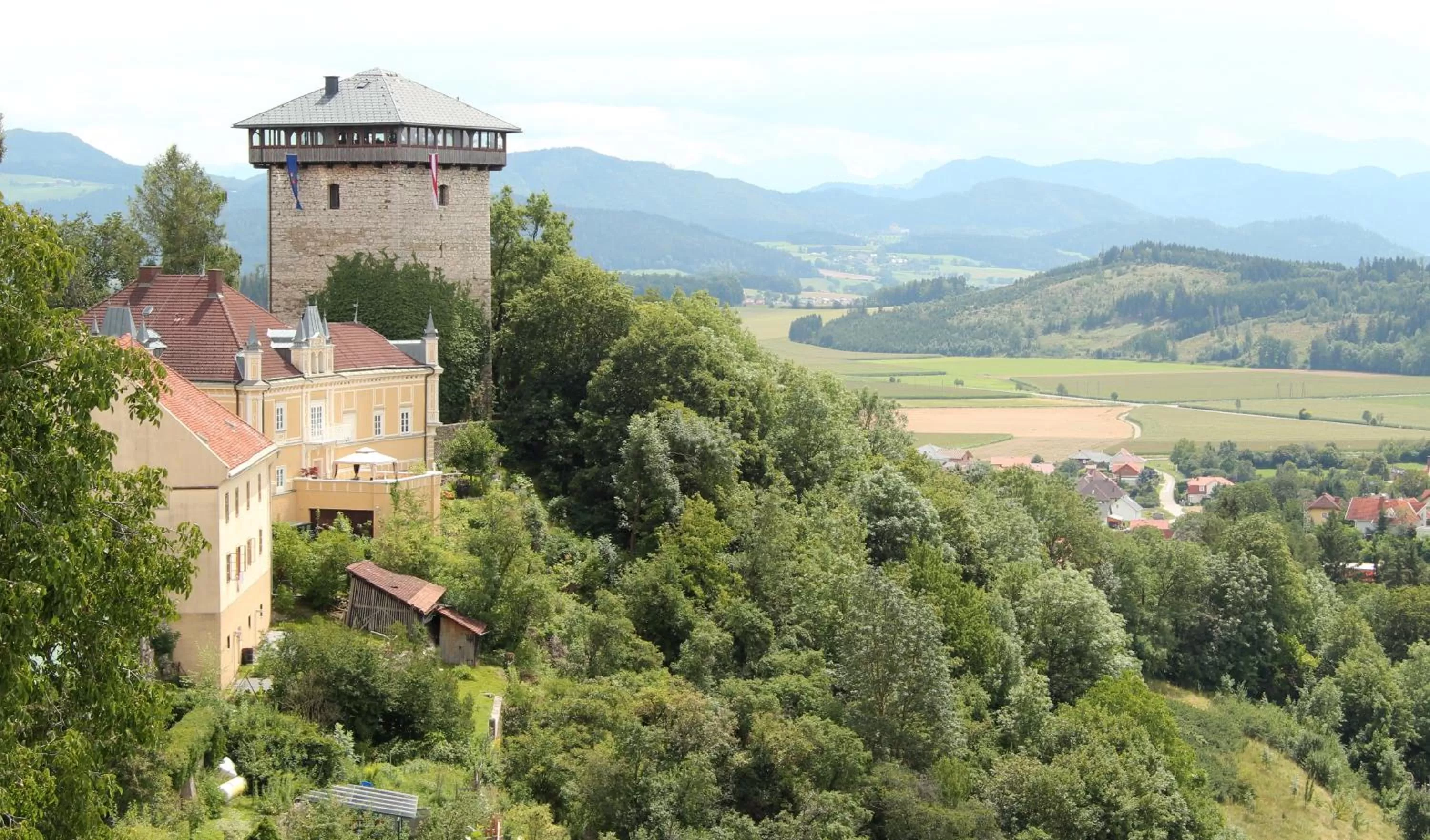 Summer, Bird's-eye View in Bed and Breakfast Mittelkärnten