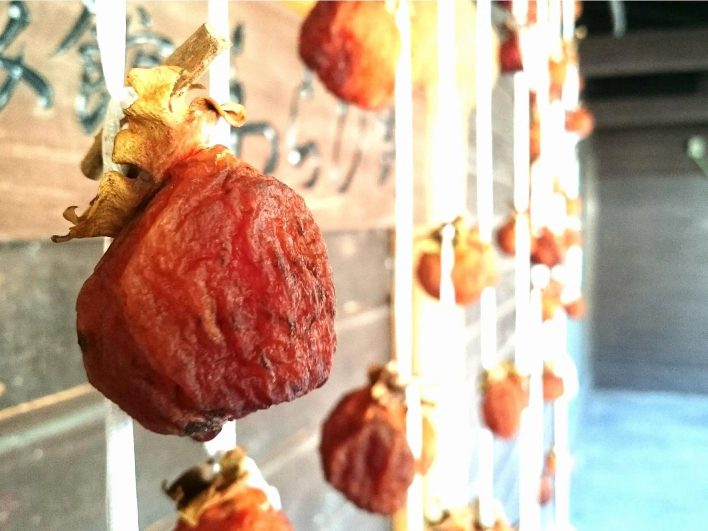 Winter in Ryokan Warabino