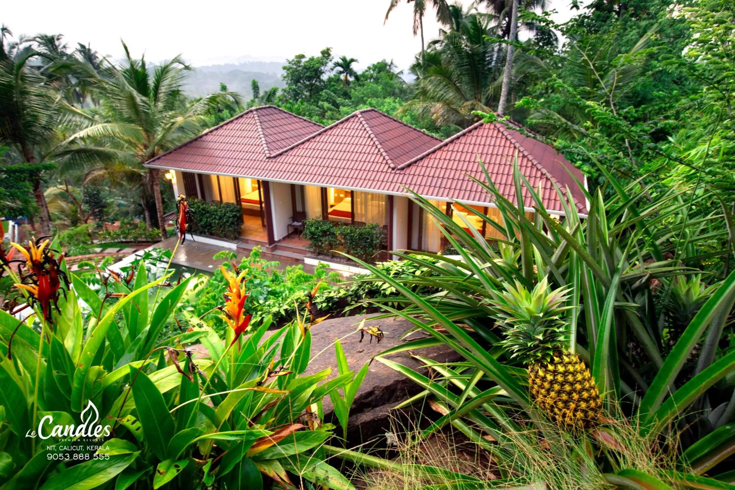 Garden in Le Candles Resort