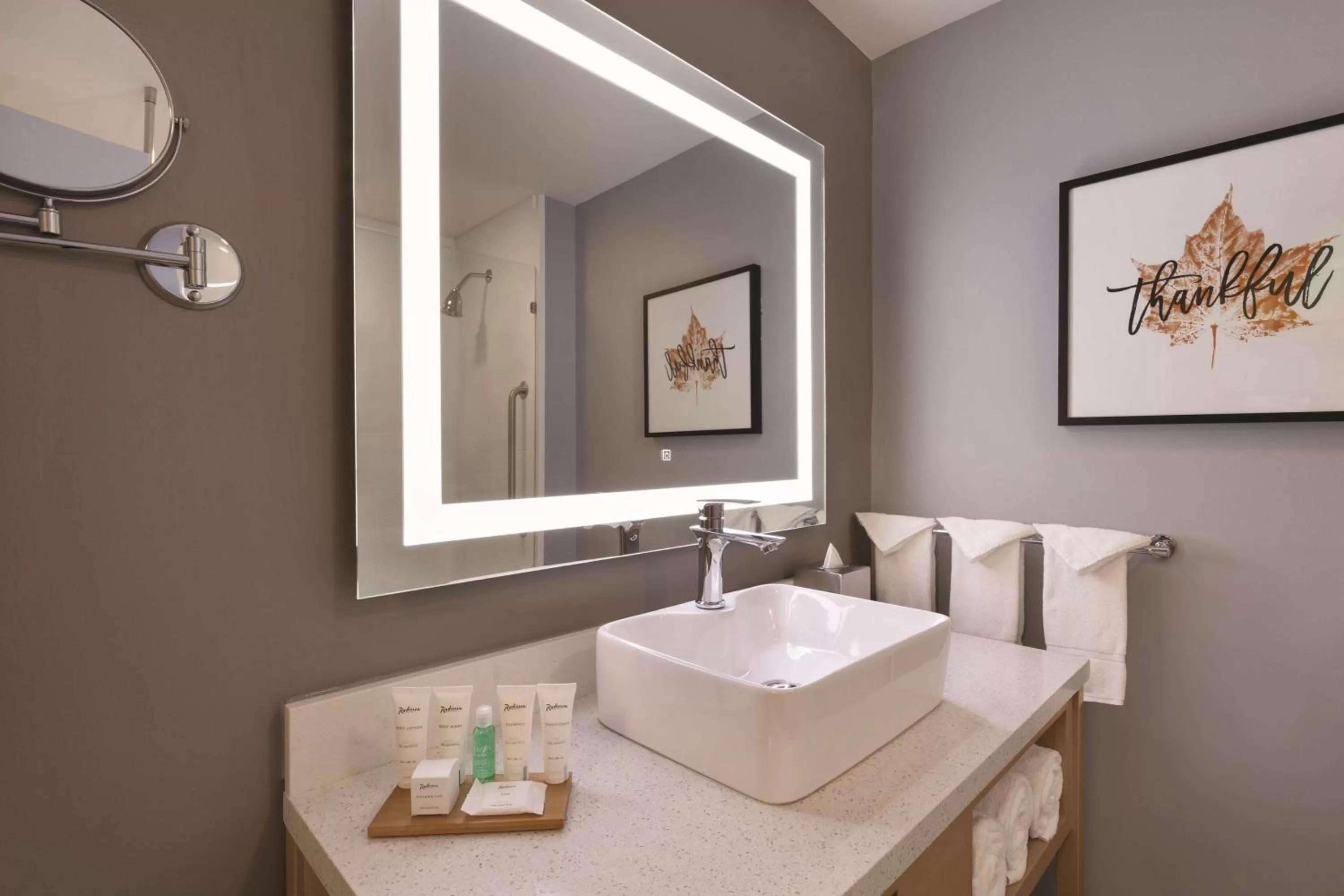 One-Bedroom King Suite with Sofa Bed - Non-Smoking in Radisson Hotel Atlanta Airport