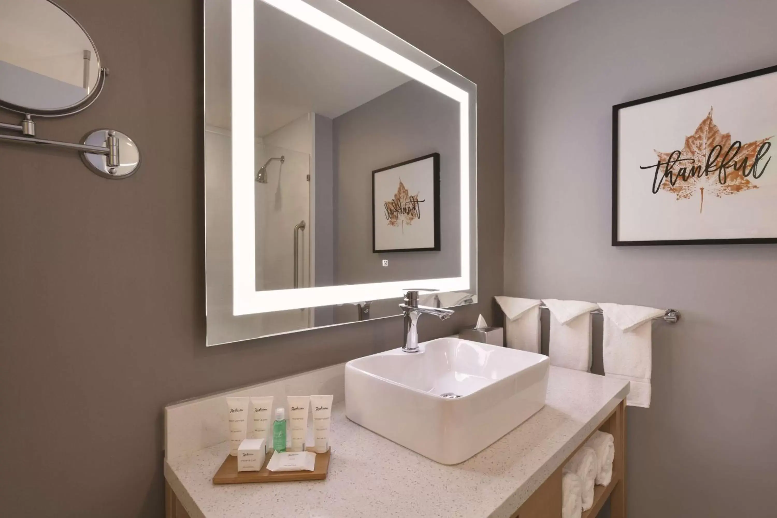 One-Bedroom King Suite with Sofa Bed - Non-Smoking in Radisson Hotel Atlanta Airport One-Bedroom King Suite with Sofa Bed - Non-Smoking in Radisson Hotel Atlanta Airport