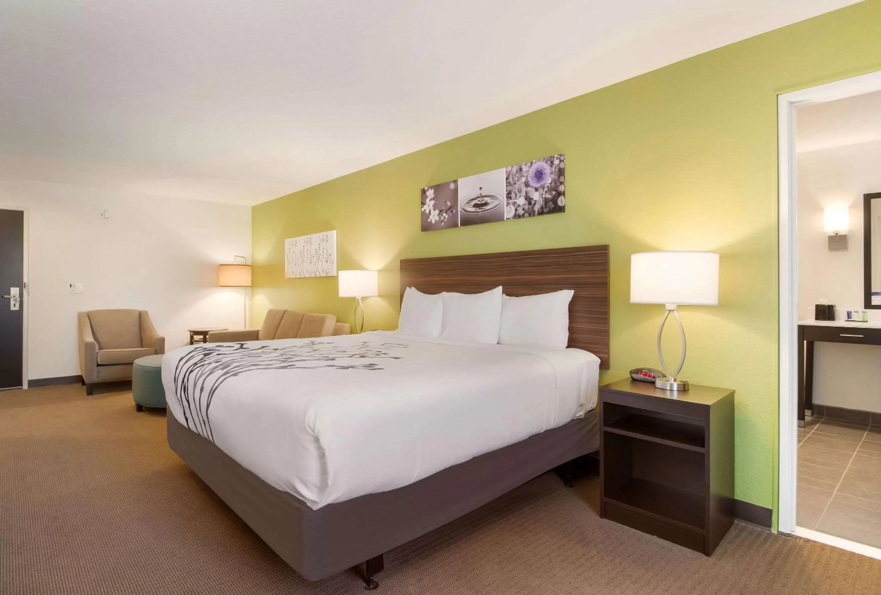 Photo of the whole room, Bed in Sleep Inn Boardman