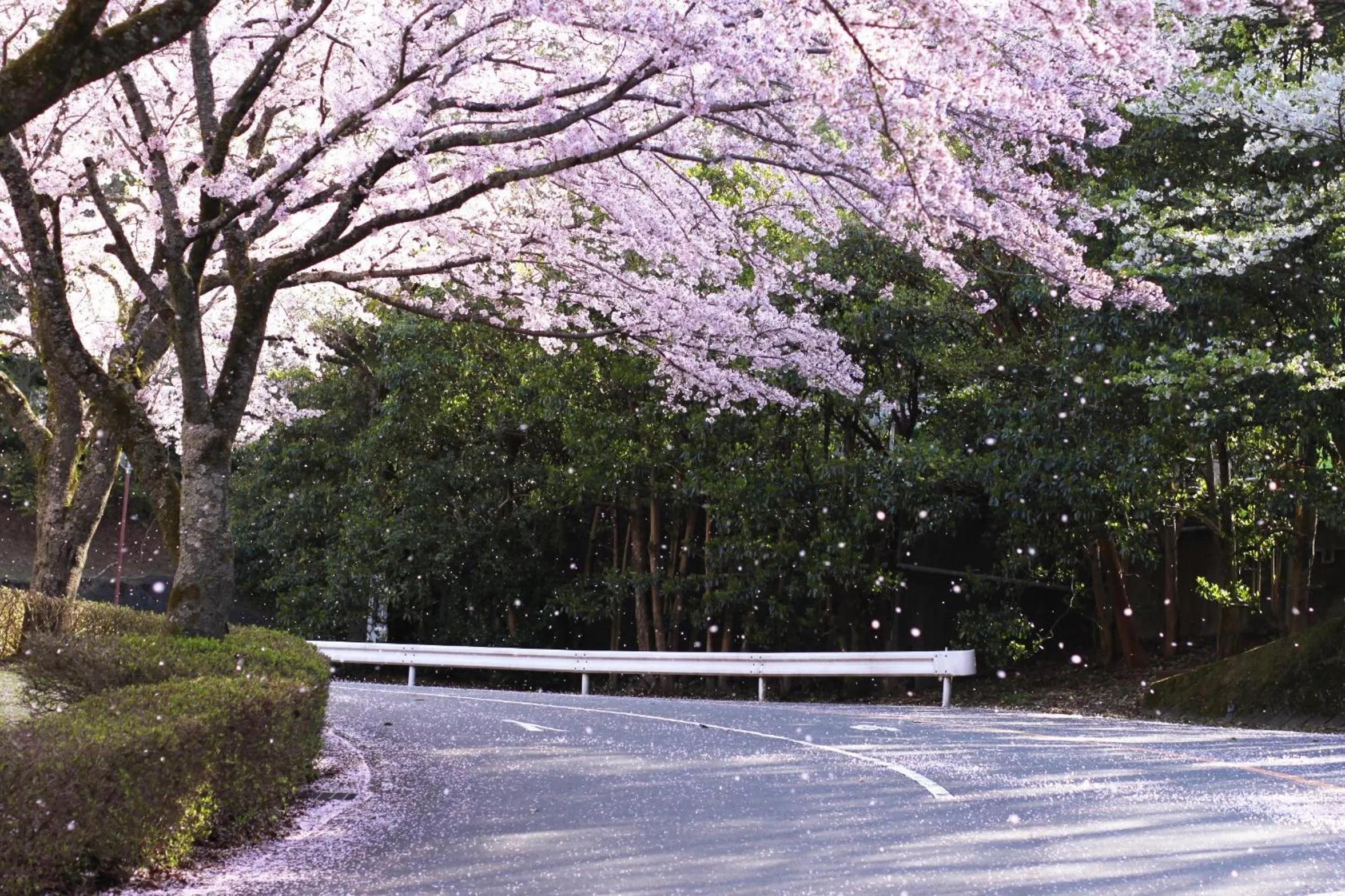 Area and facilities in Hotel Laforet Shuzenji