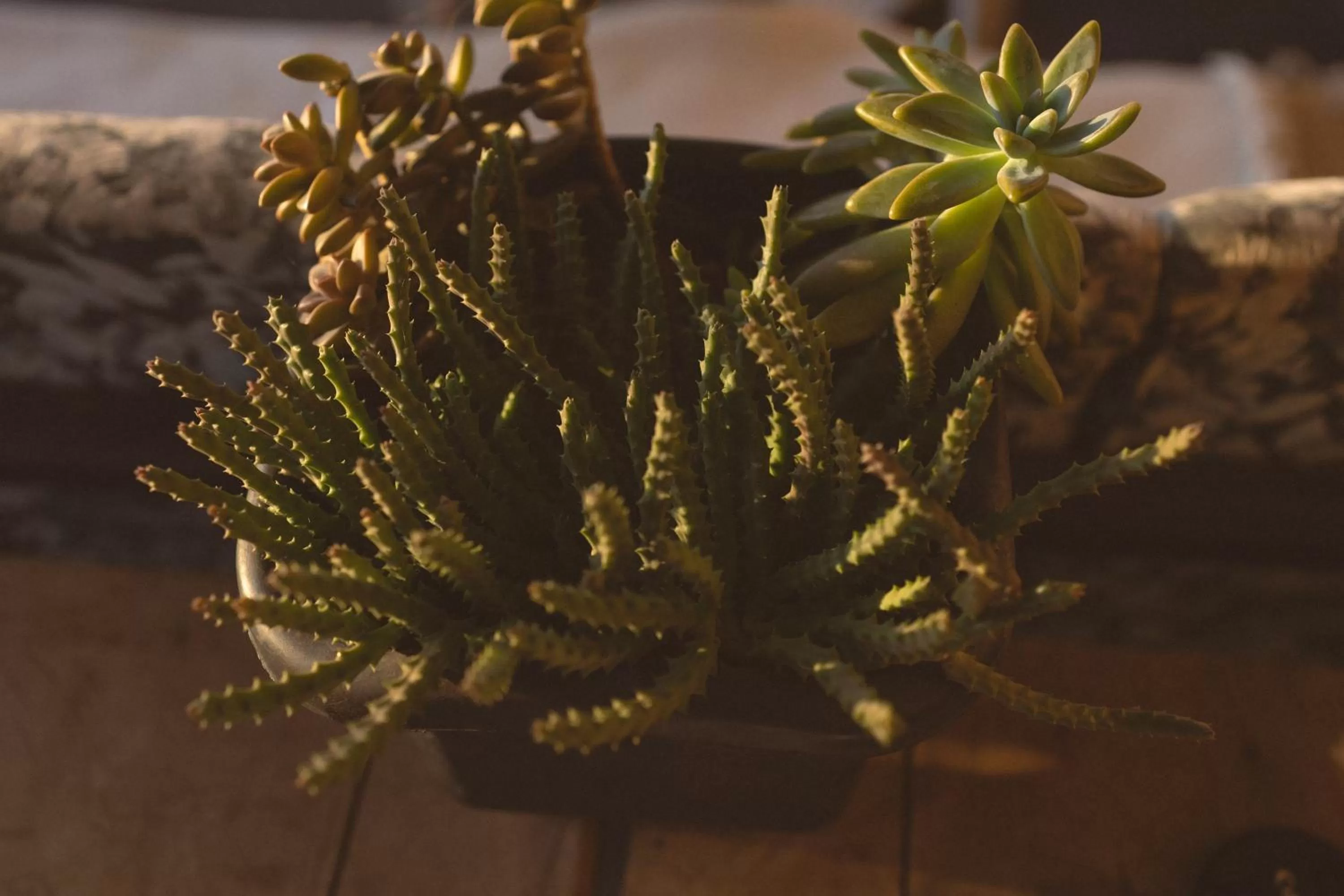 Balcony/Terrace in Libero Hotel
