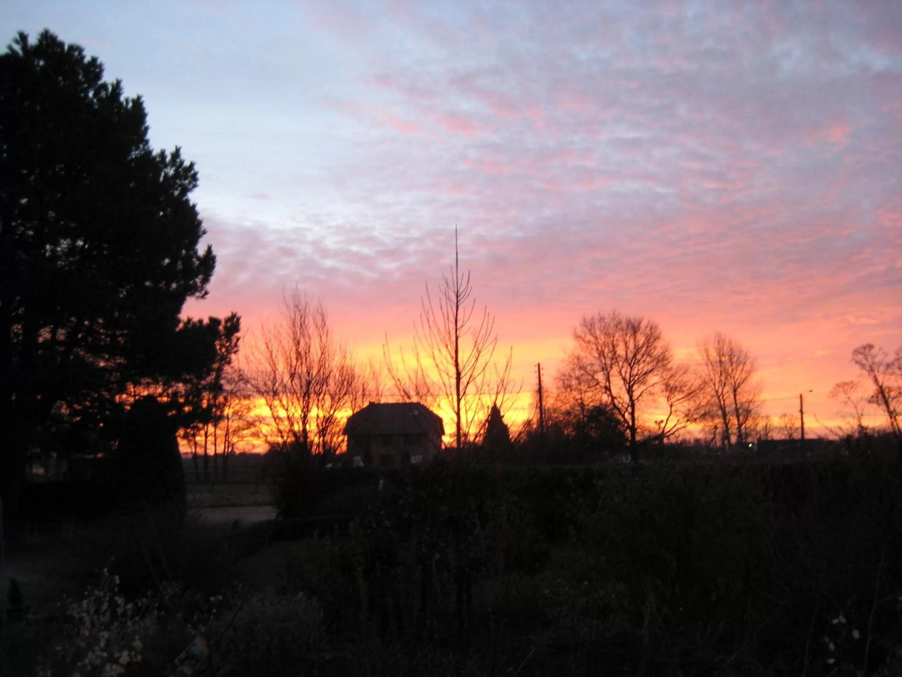 Other, Sunrise/Sunset in B&B Het Uilennest