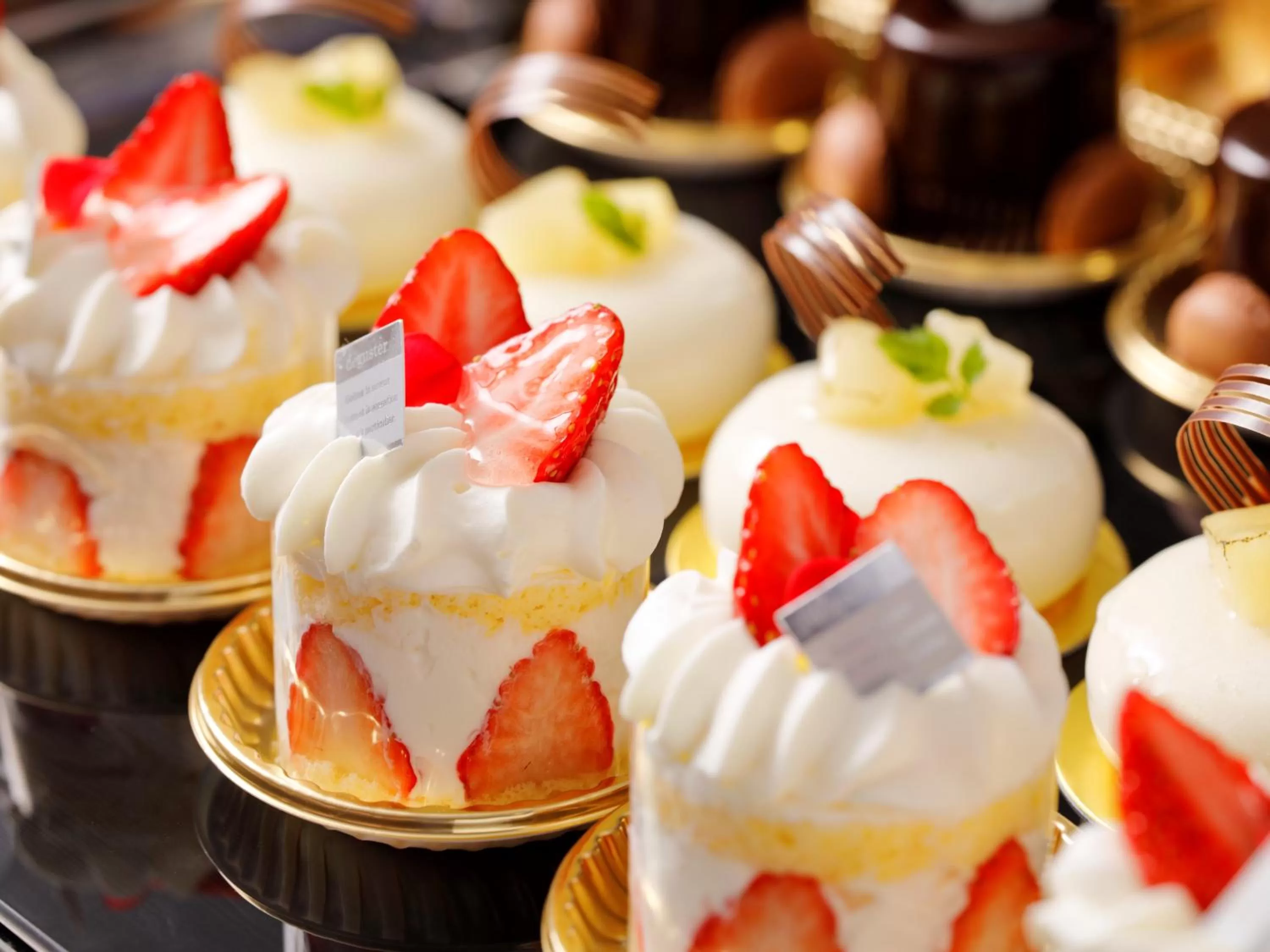 Lounge or bar, Food in THE HOTEL SANRAKU KANAZAWA 21th December 2022 OPEN