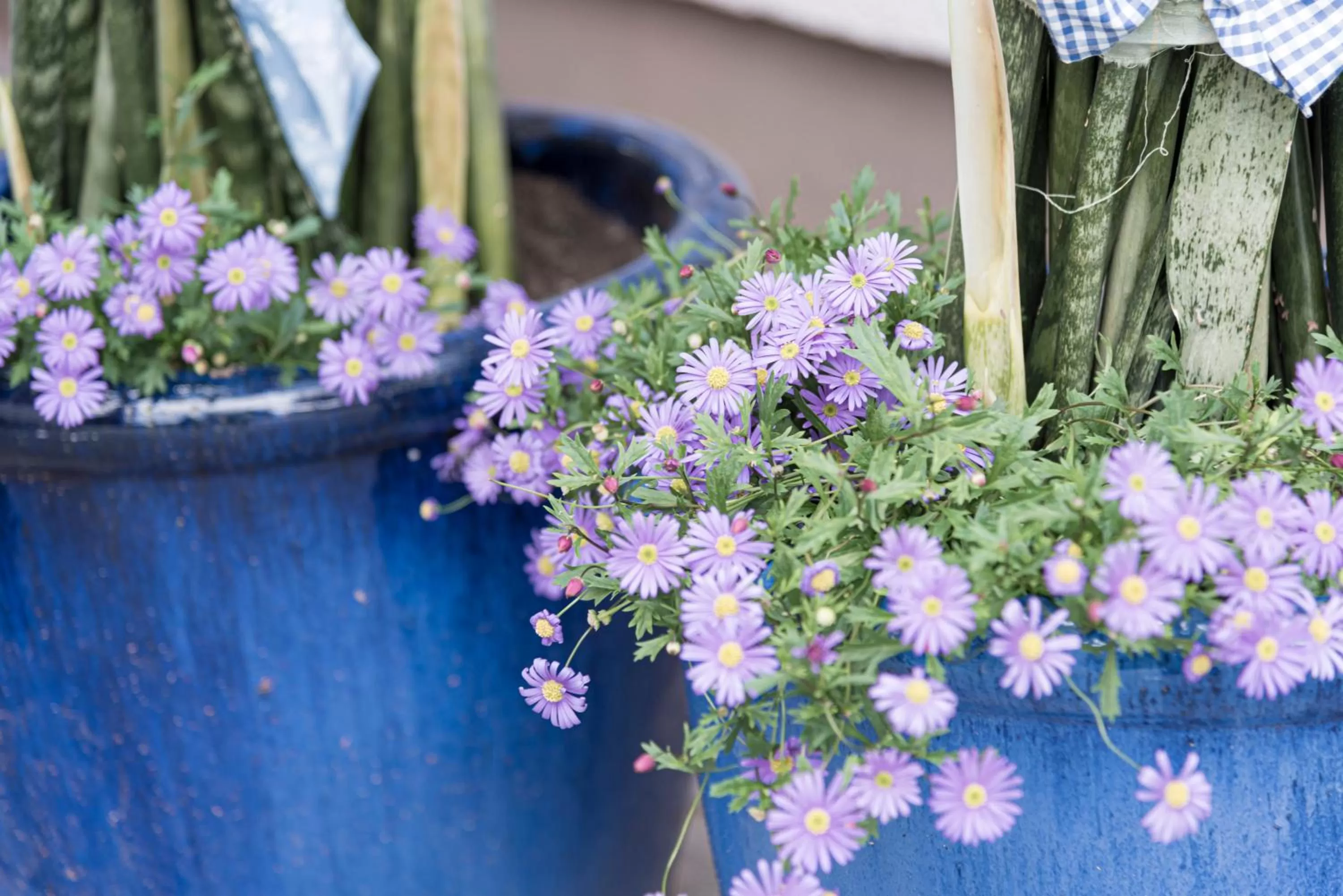 Spring in Wohlfühlhotel Goiserer Mühle