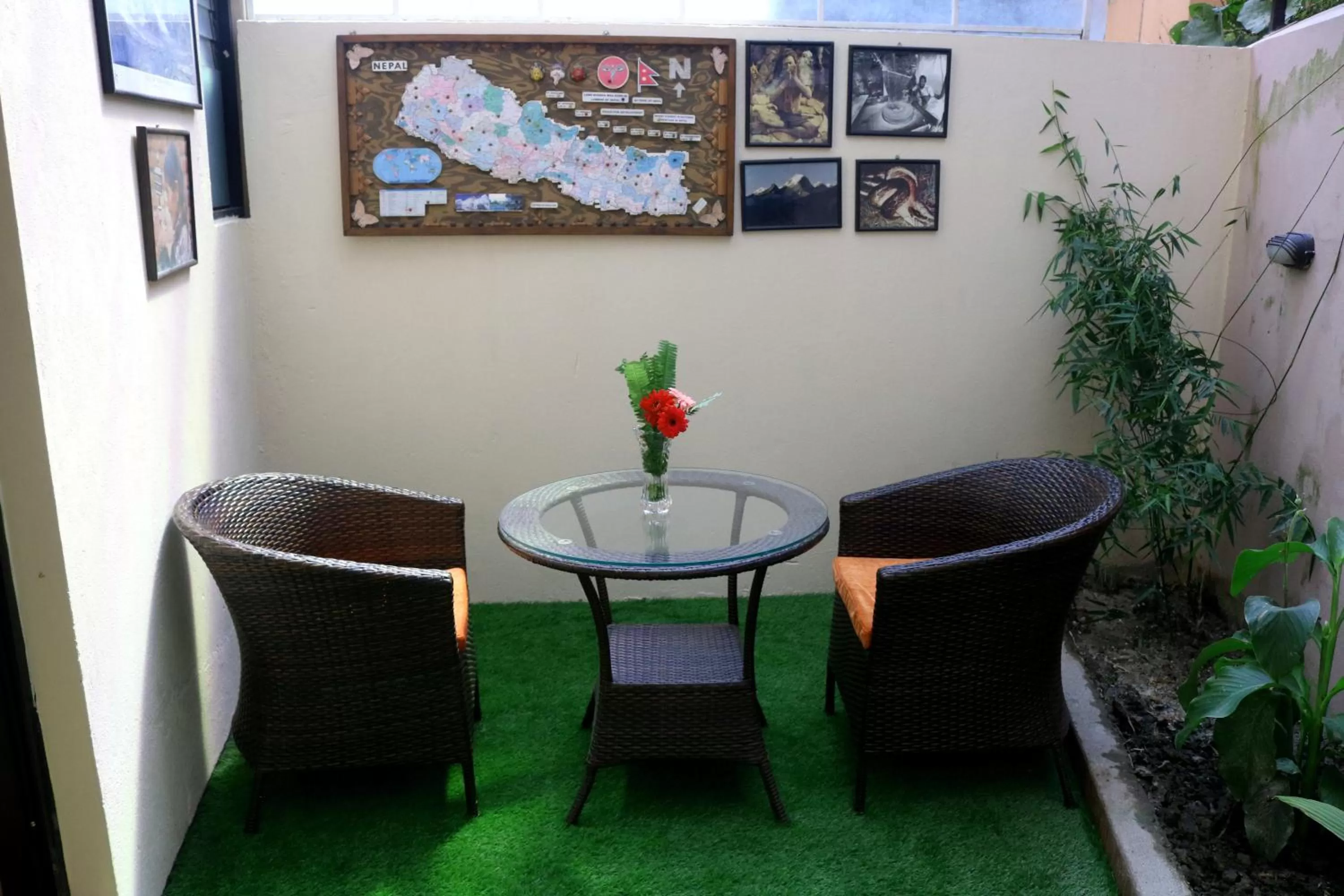 Garden in Hotel Family Ties Pvt. Ltd.