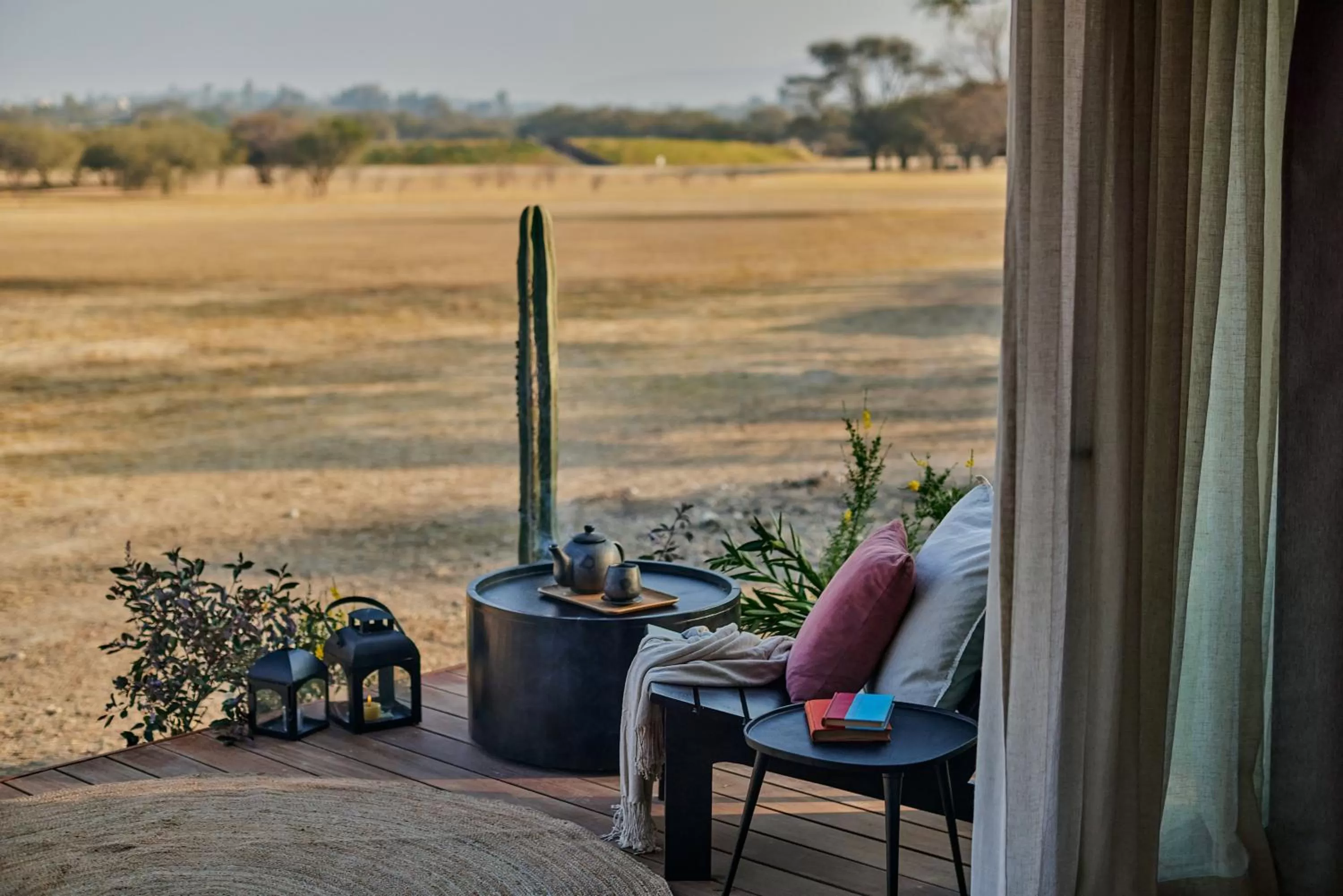 Day in Our Habitas San Miguel de Allende