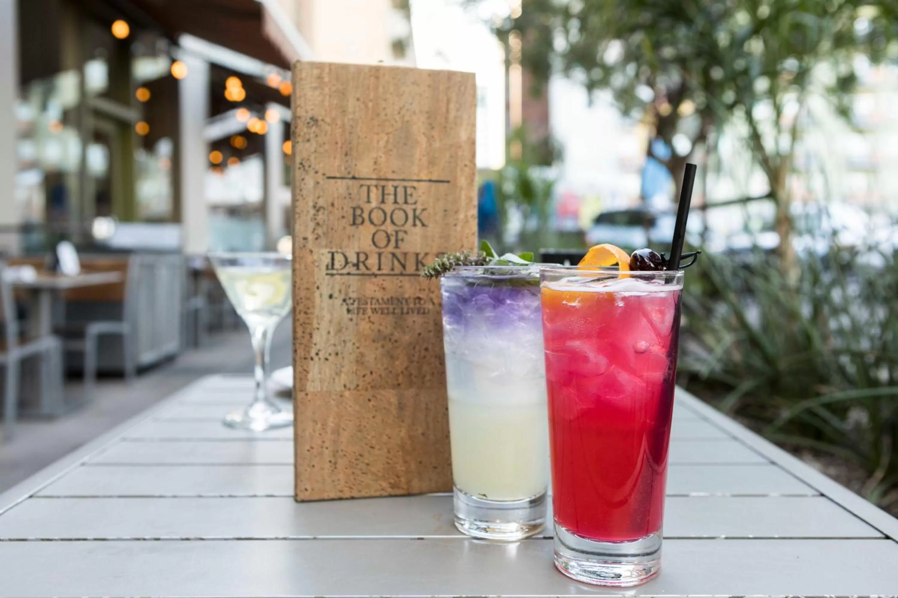 Patio in Hotel Congress