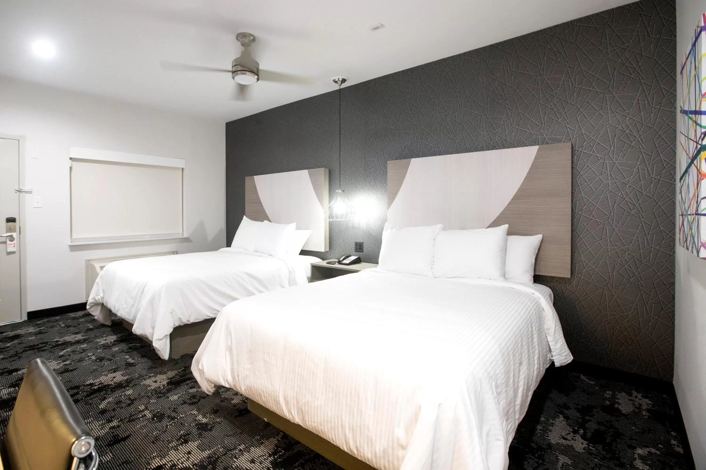 Photo of the whole room in House Hotel