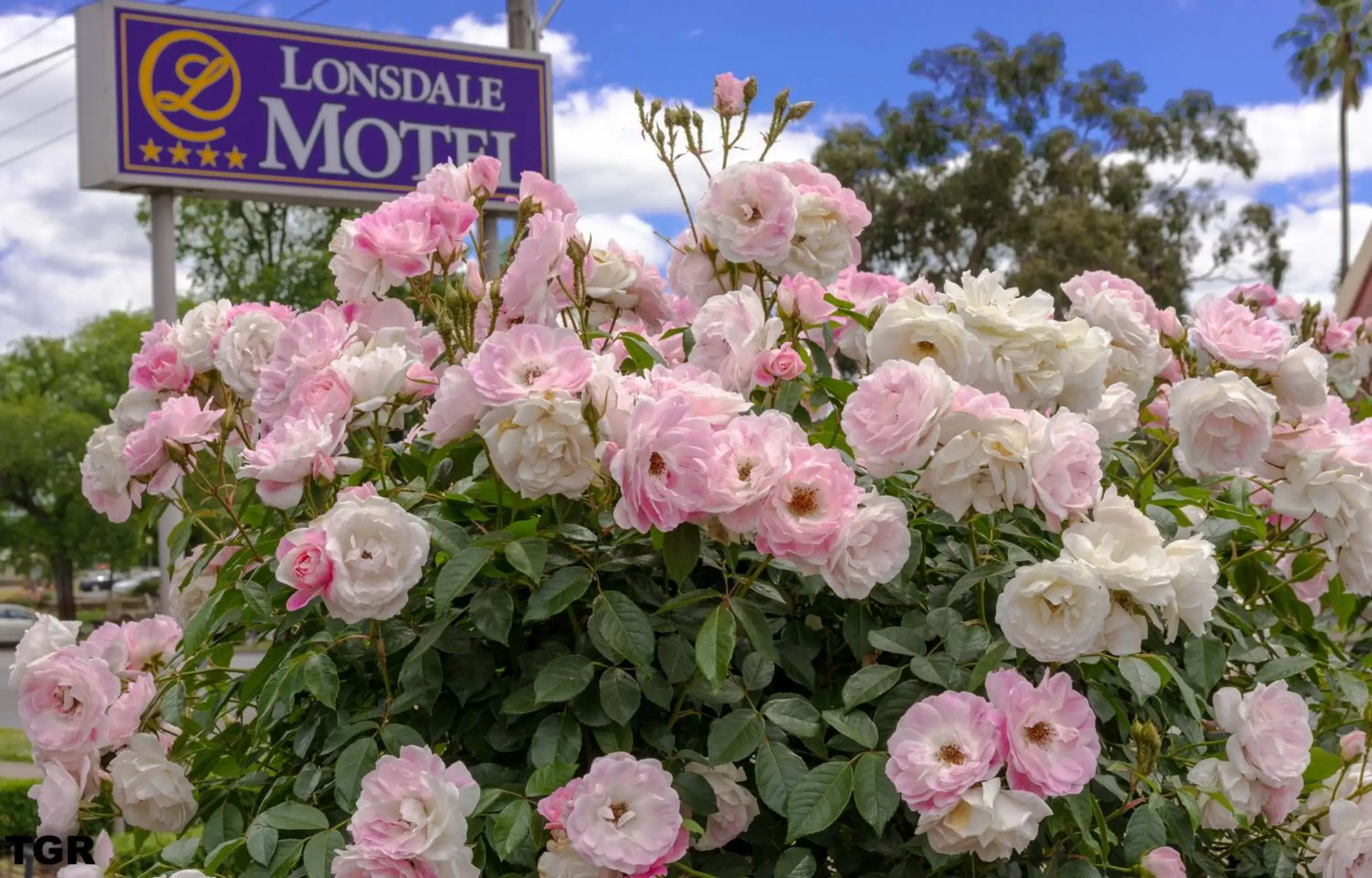 Hamilton Lonsdale Motel Hamilton Lonsdale Motel