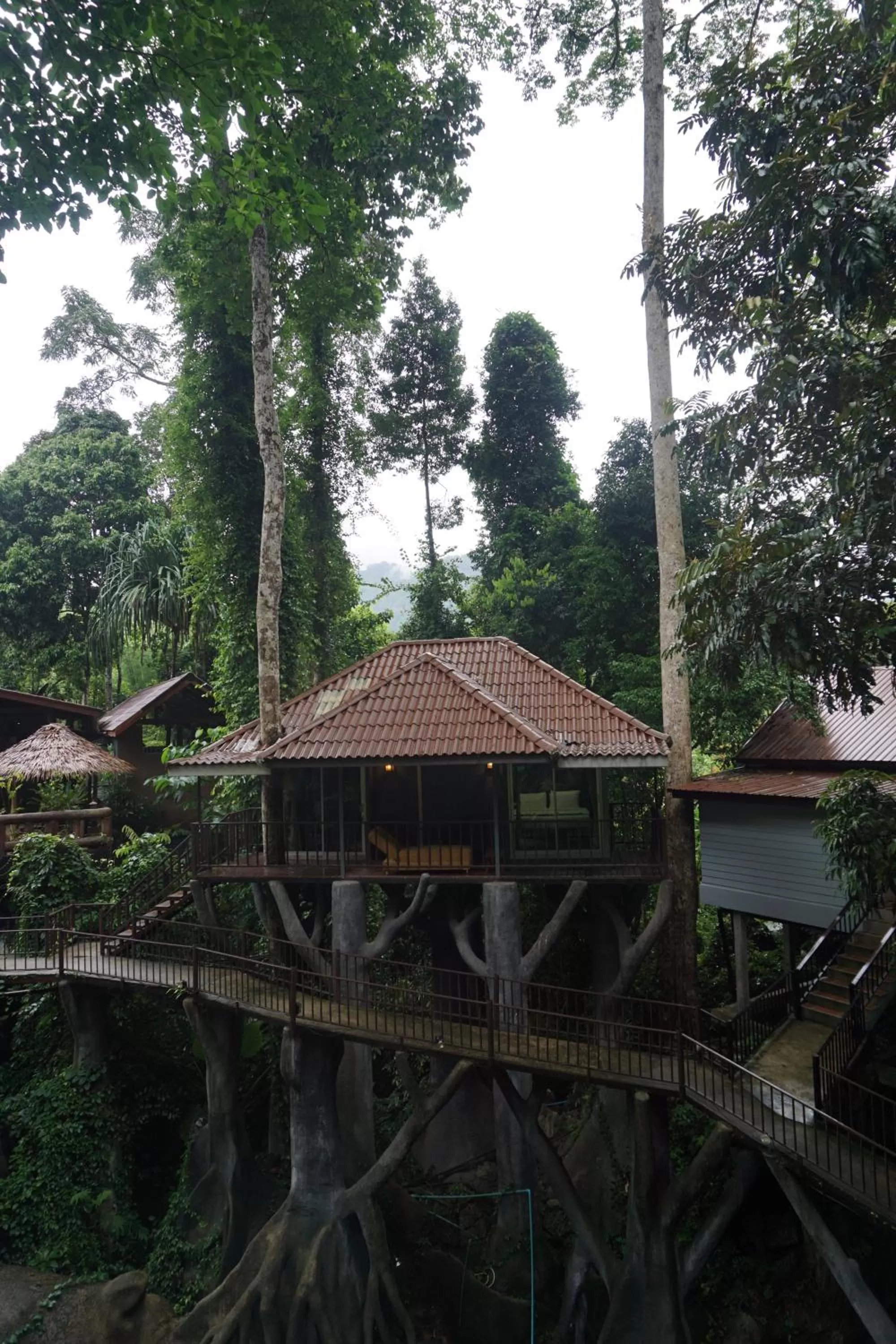 Other in Rock and Tree House Resort