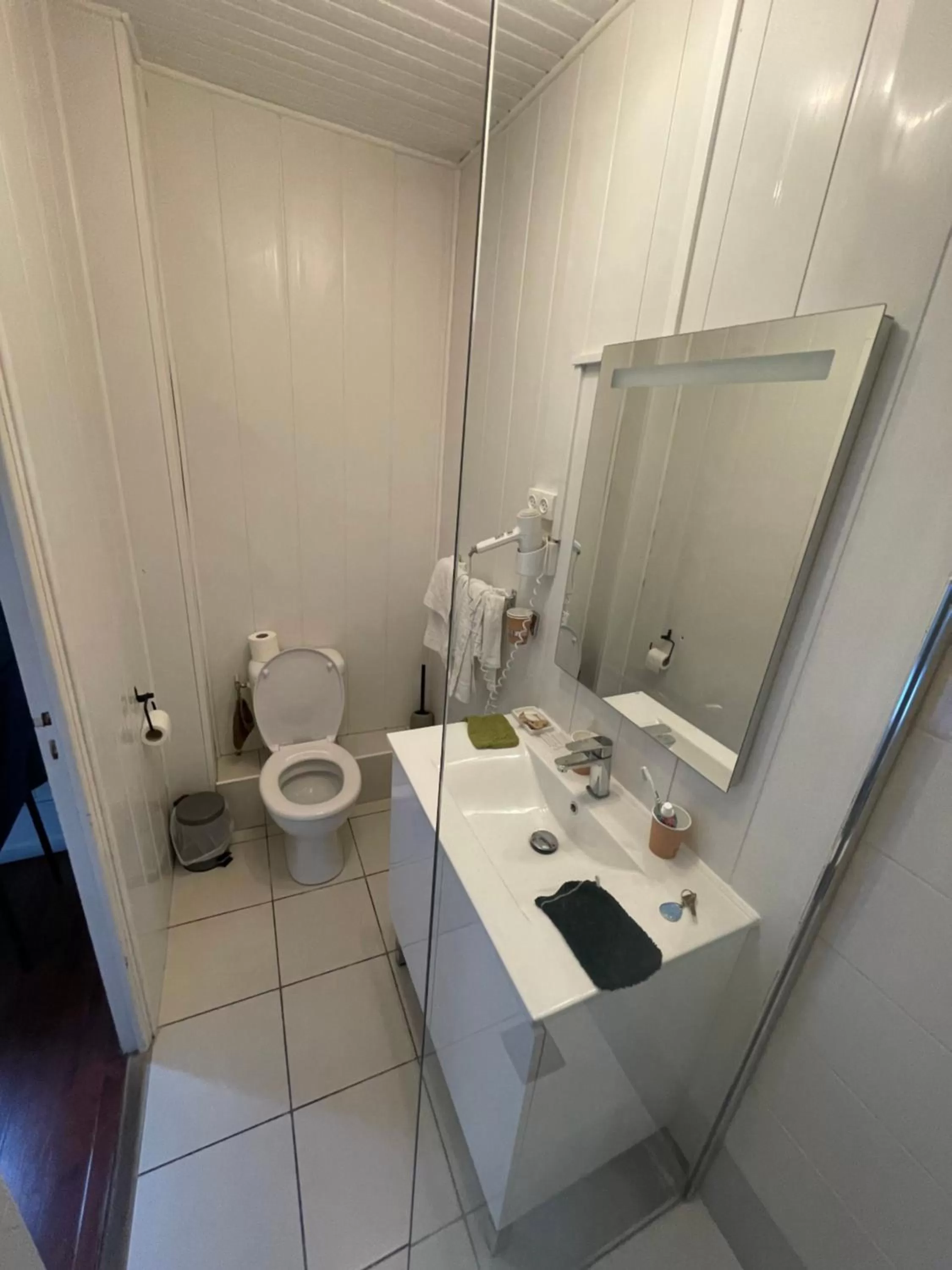 Toilet, Bathroom in Hôtel & Restaurant Le Patio VICHY