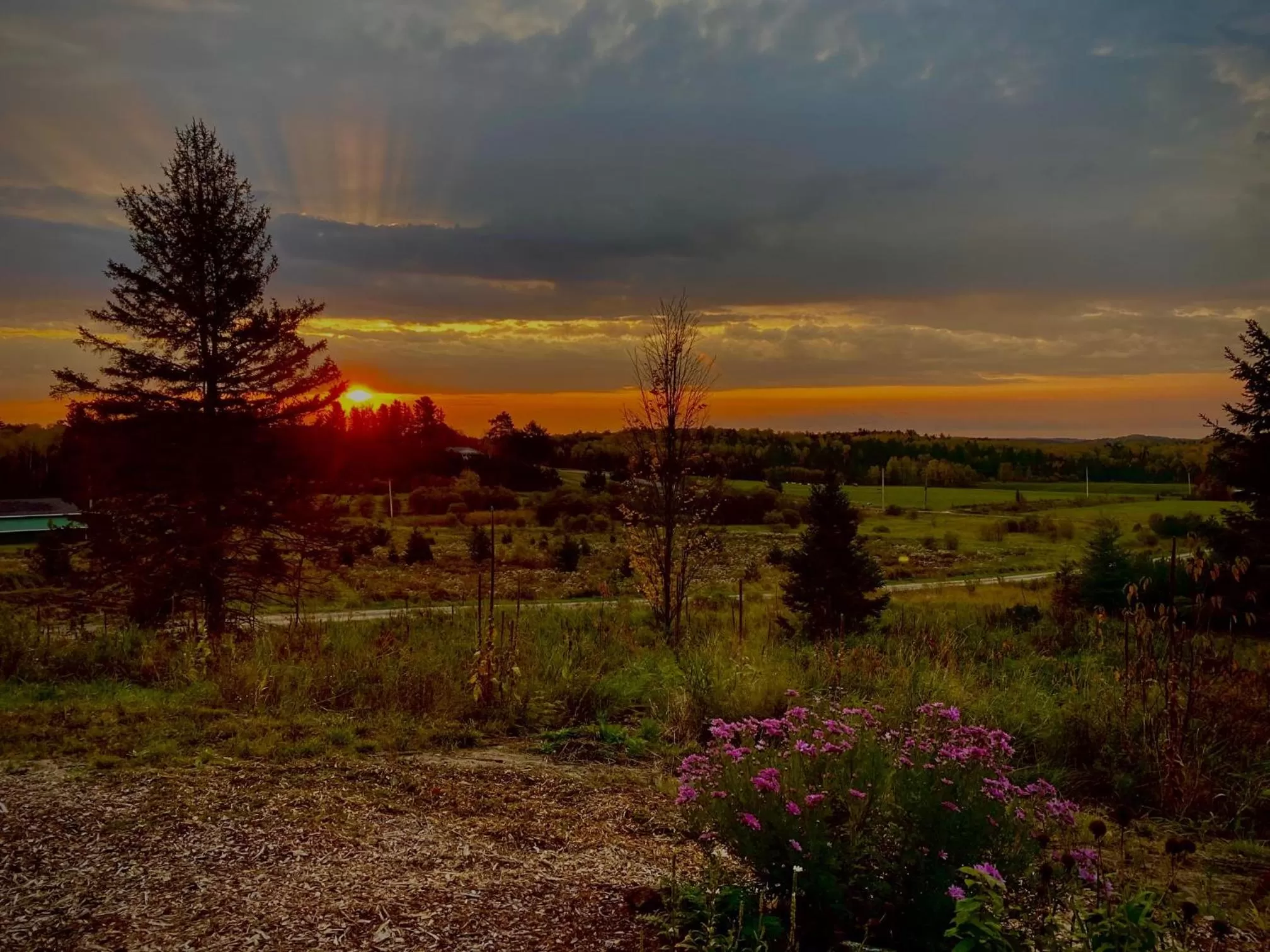 Natural Landscape in Top of Algonquin Bed and Breakfast