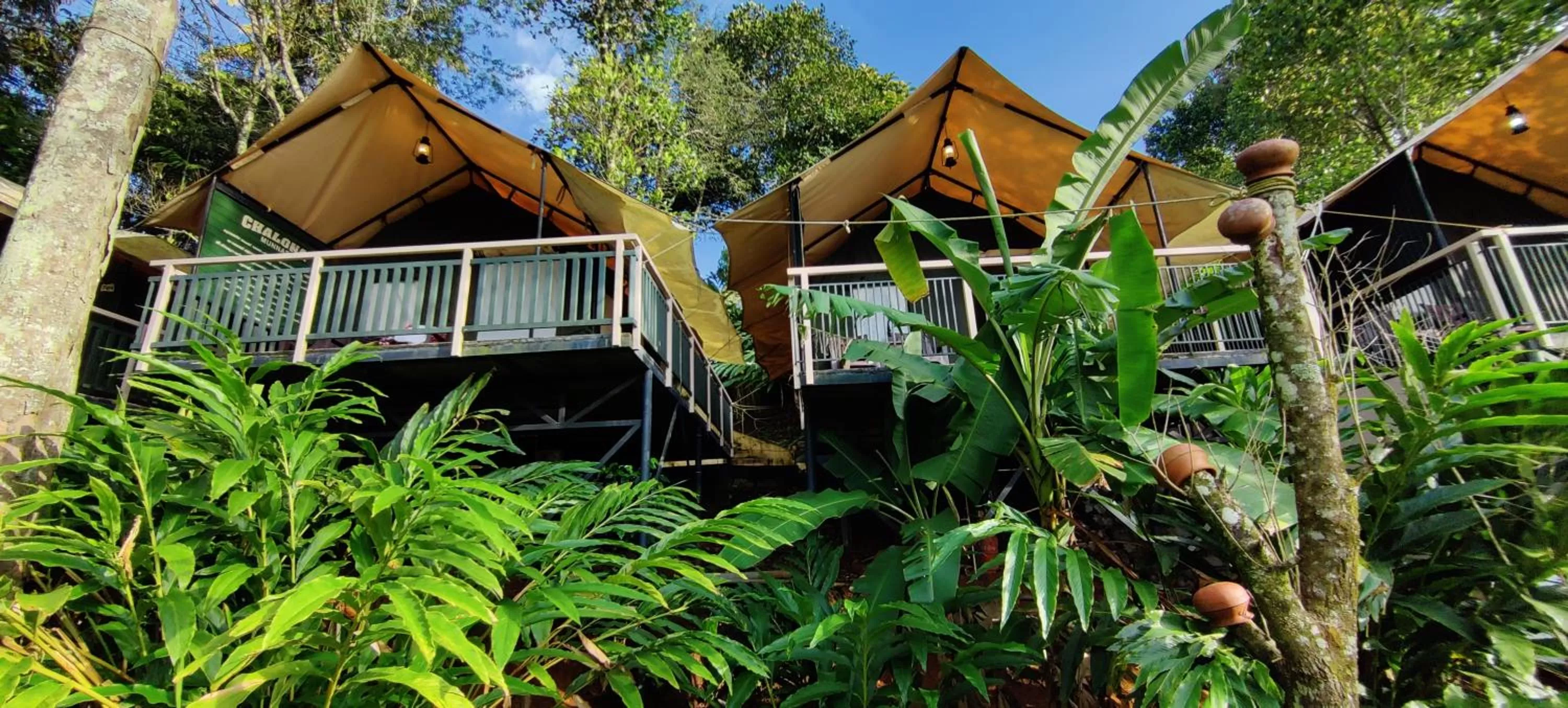 Property Building in Chalona Jungle Vibe