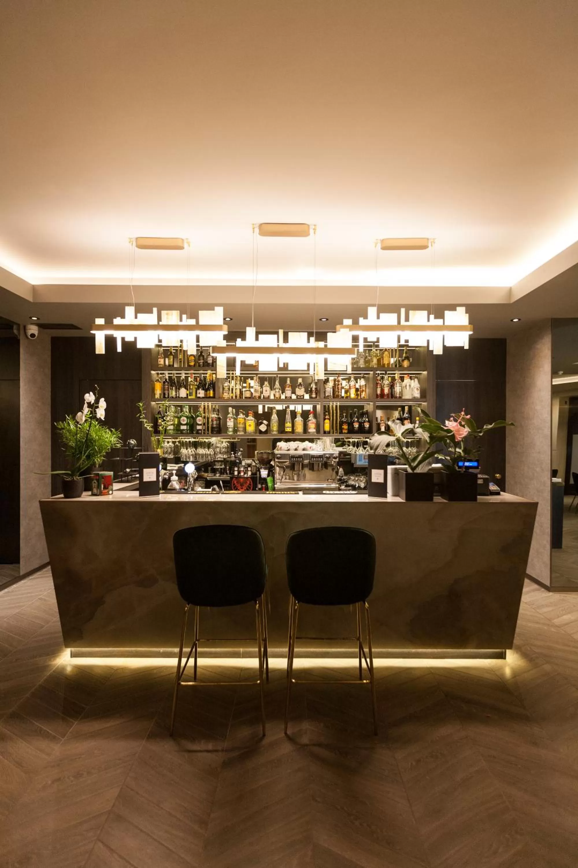 Lounge or bar in Hotel Atrium