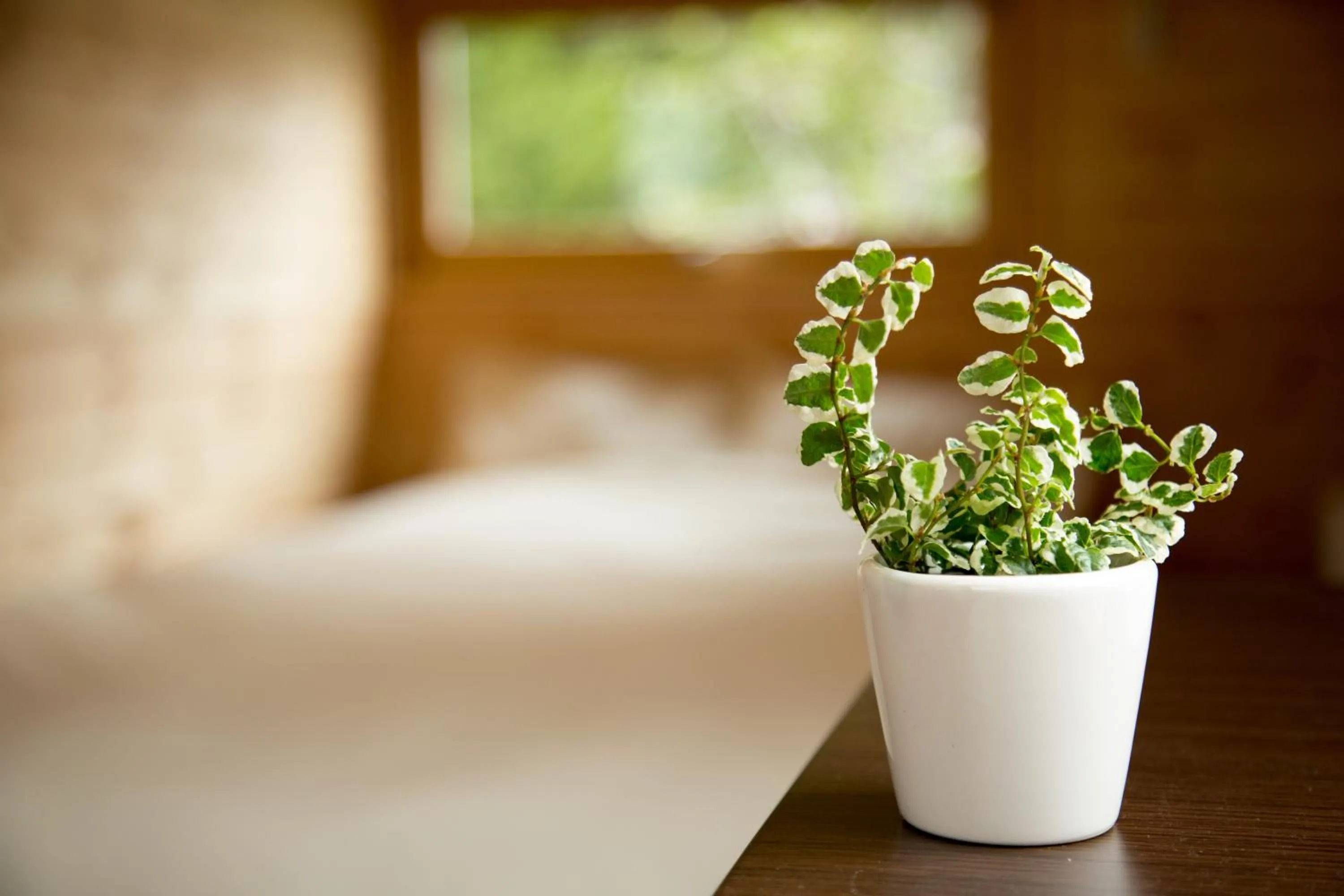 Decorative detail in Brick House Furano
