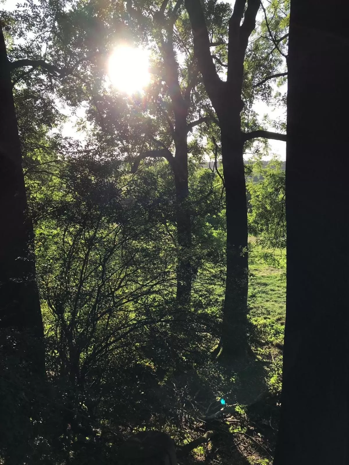 Natural landscape in B&B Holset70