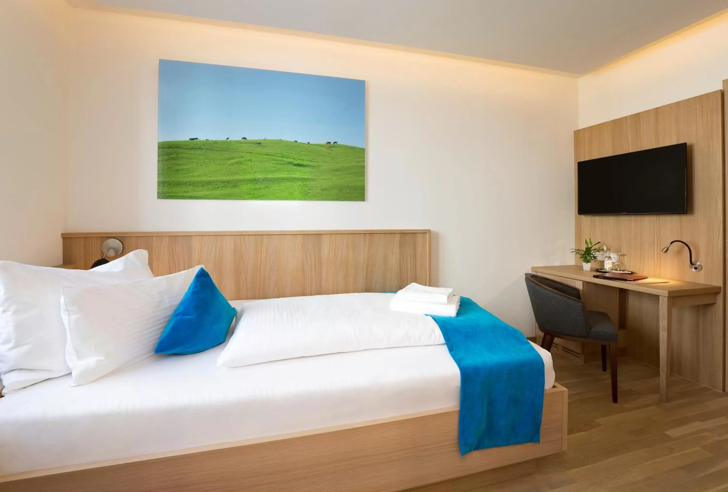 Single Room in newly built in Hotel Hirsch Single Room in newly built in Hotel Hirsch