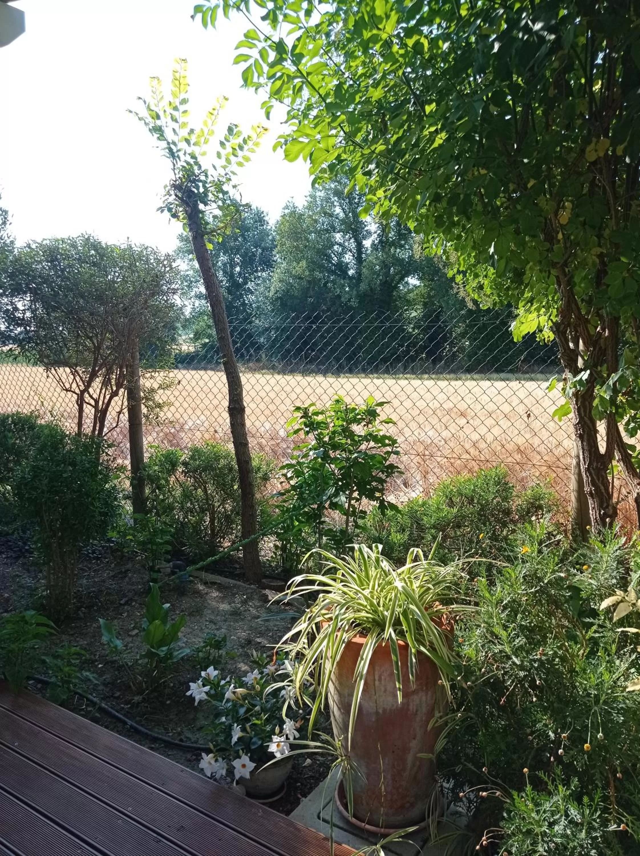 La Casa di Tara B&B Armonia e Natura