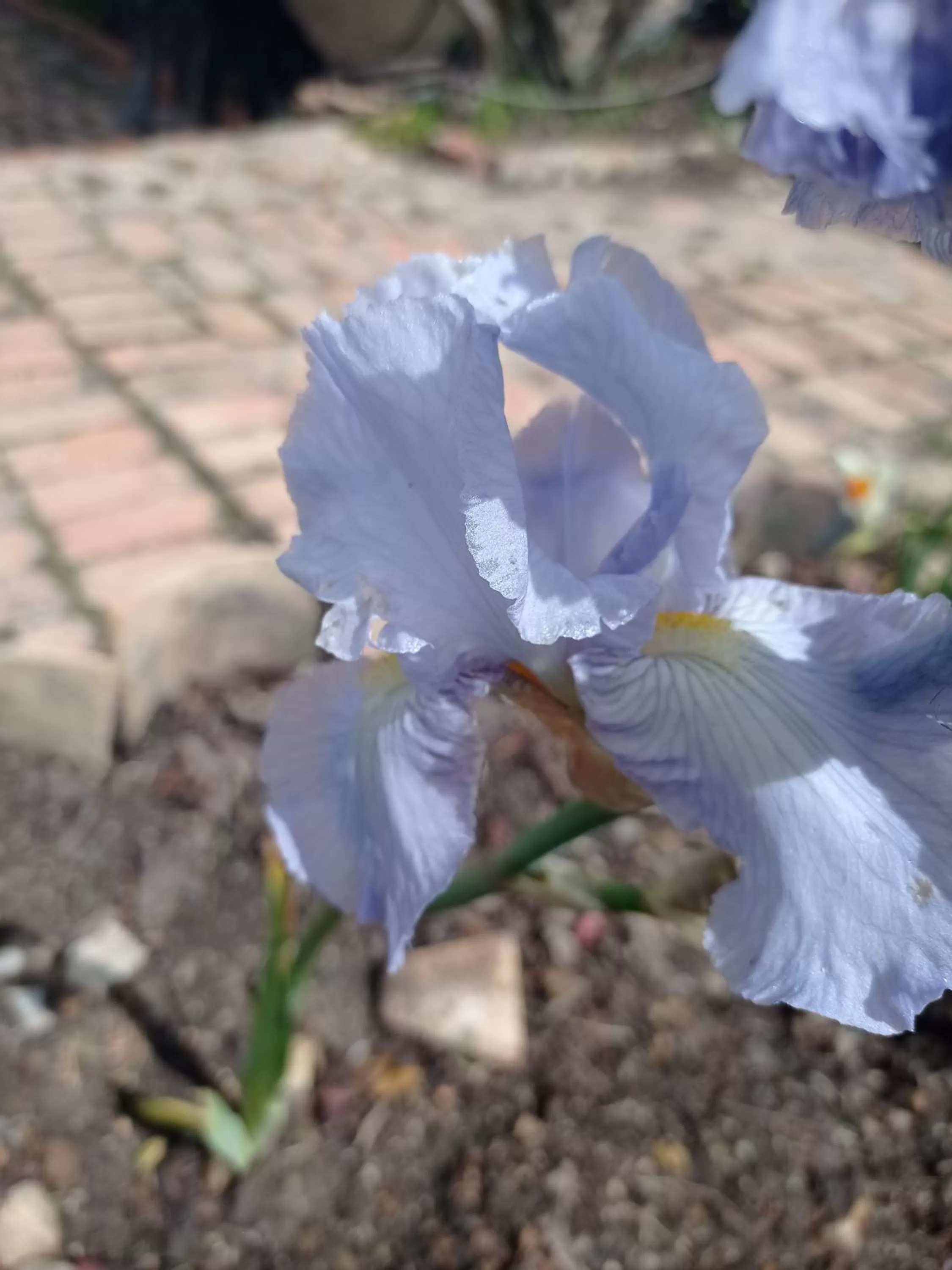 Hotel Refugio Pozo Azul