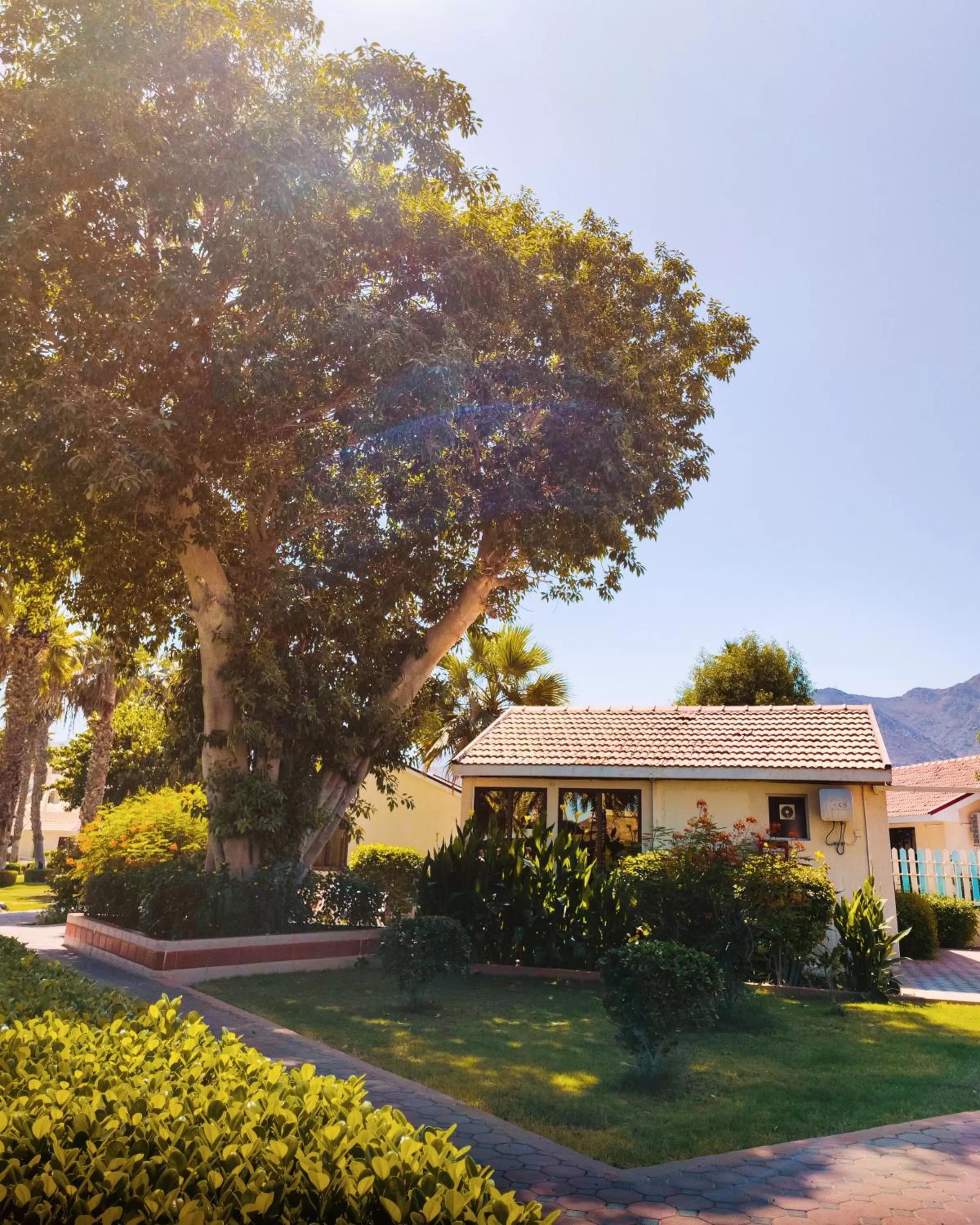 Sandy Beach Hotel & Resort