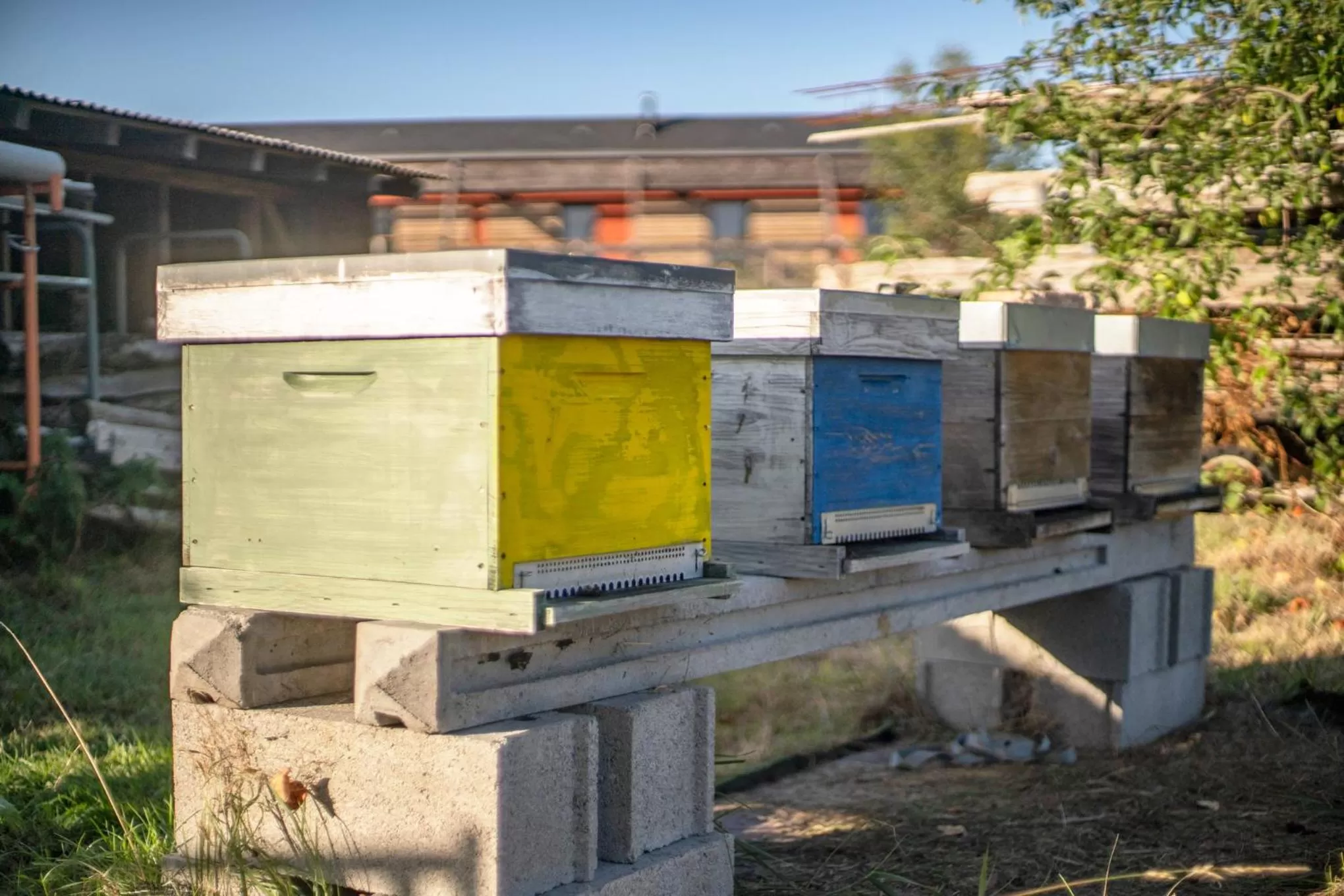 Natural landscape in Le jardin des 4 saisons