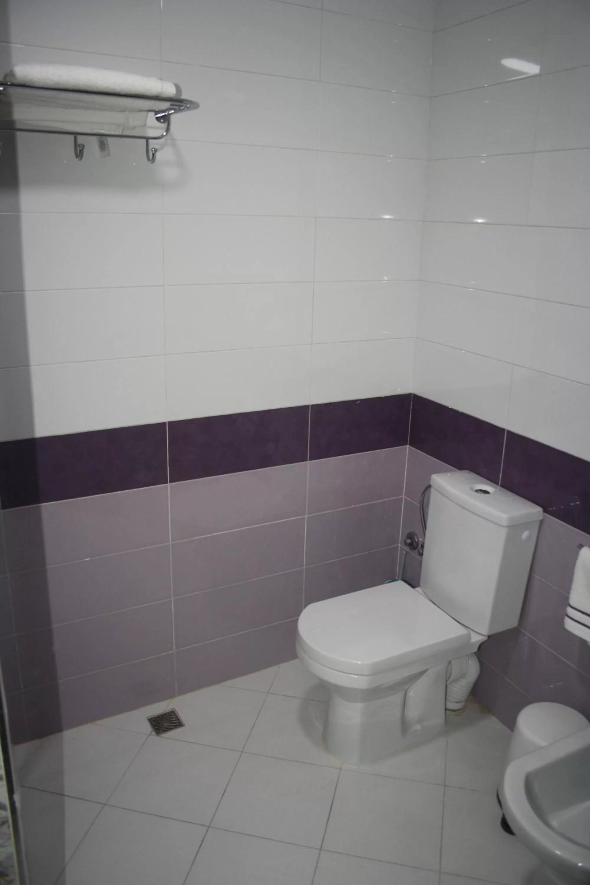 Toilet, Bathroom in Hotel Salime Al Khozama