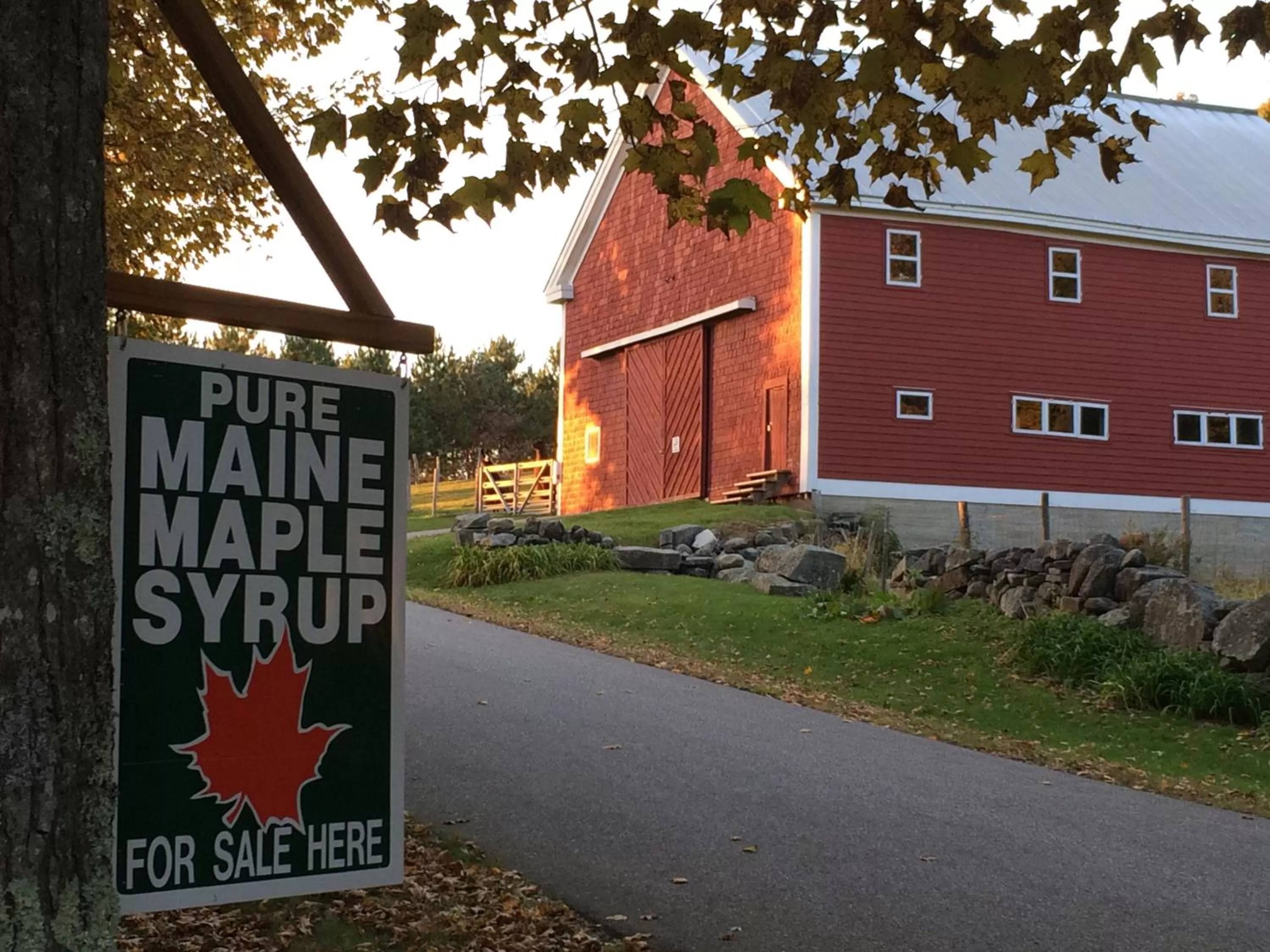 Property building in Maple Hill Farm Inn