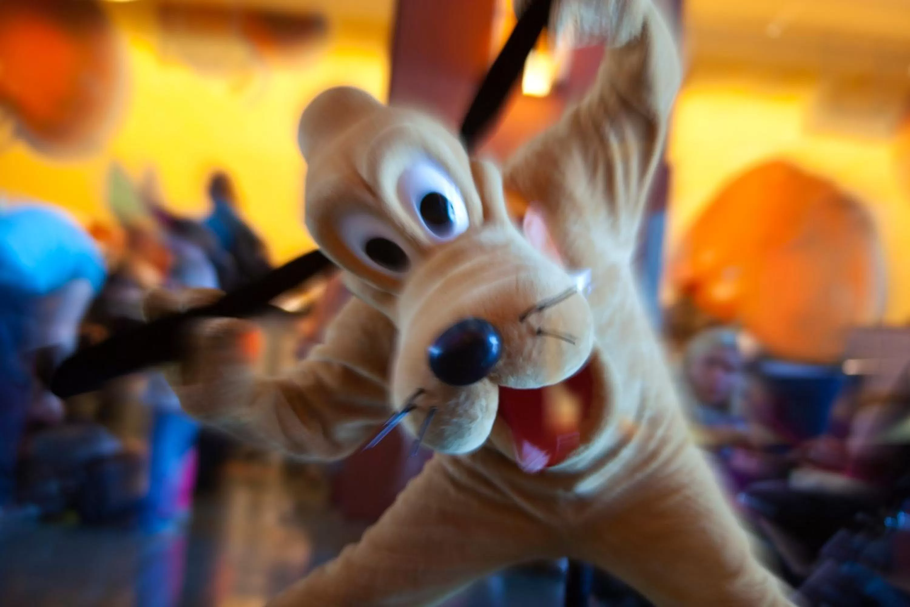 Entertainment in Disney Hotel Santa Fe