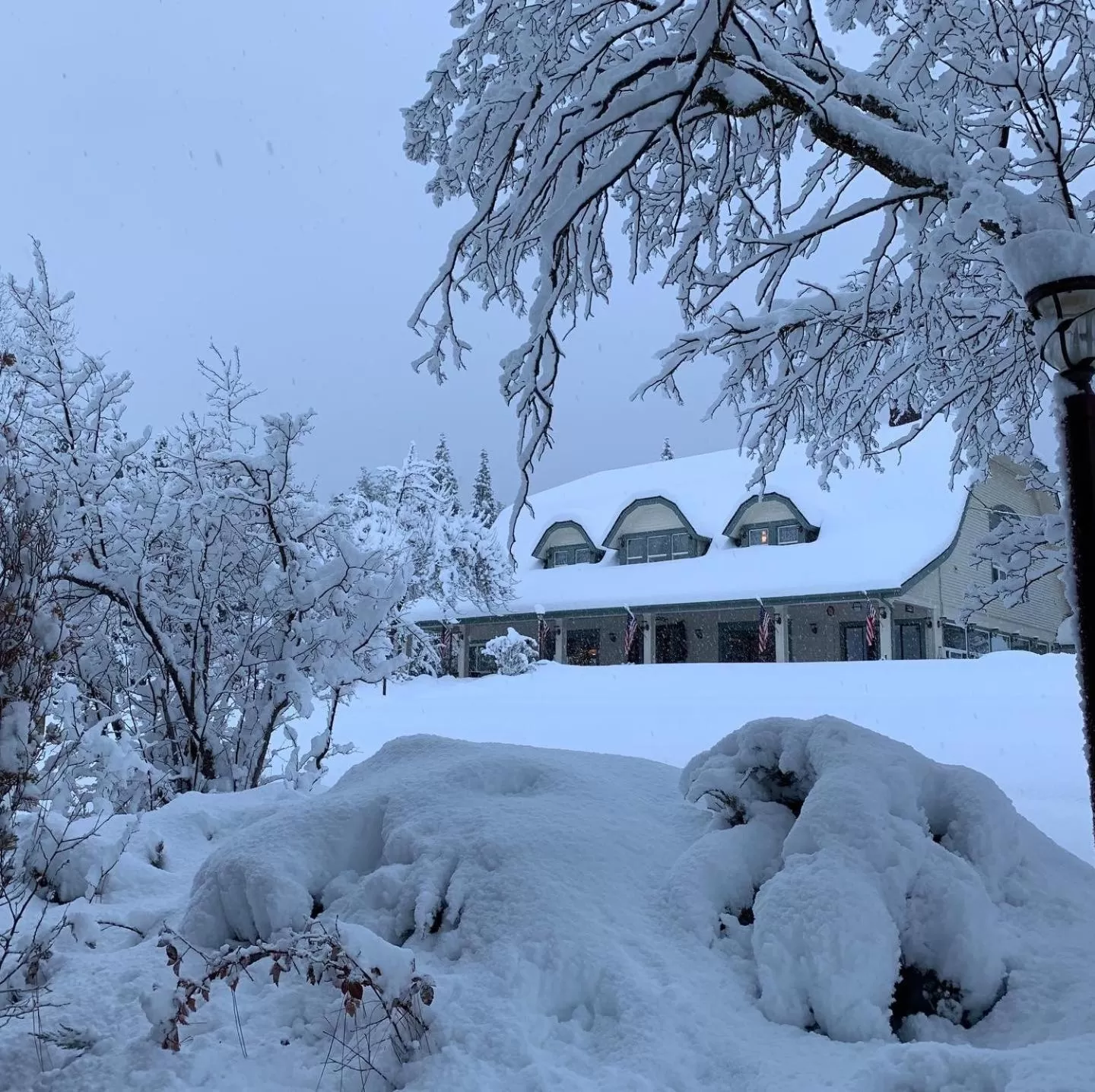 Winter in Mount Shasta Ranch Bed and Breakfast