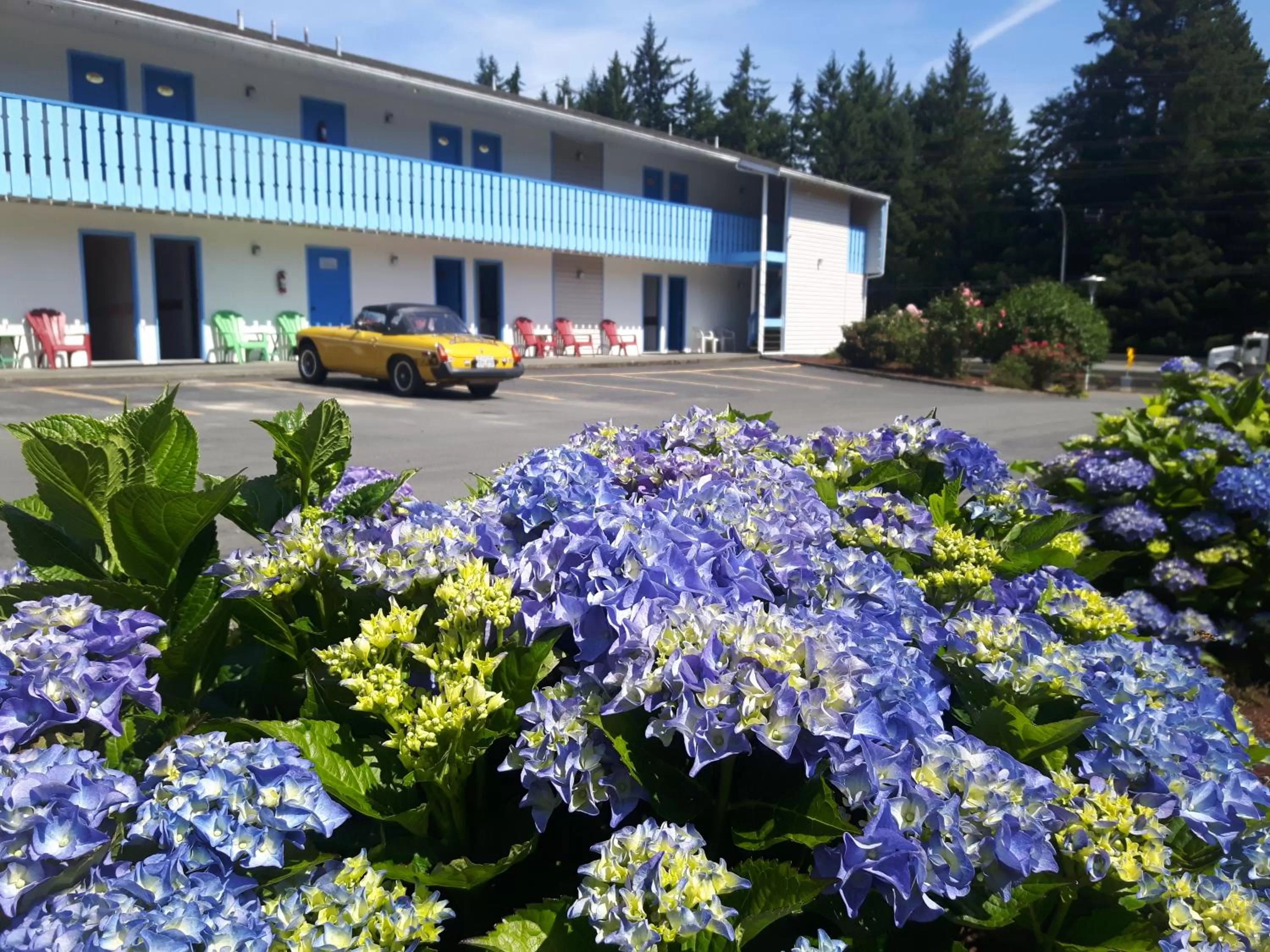 Property building in Fuller Lake Chemainus Motel