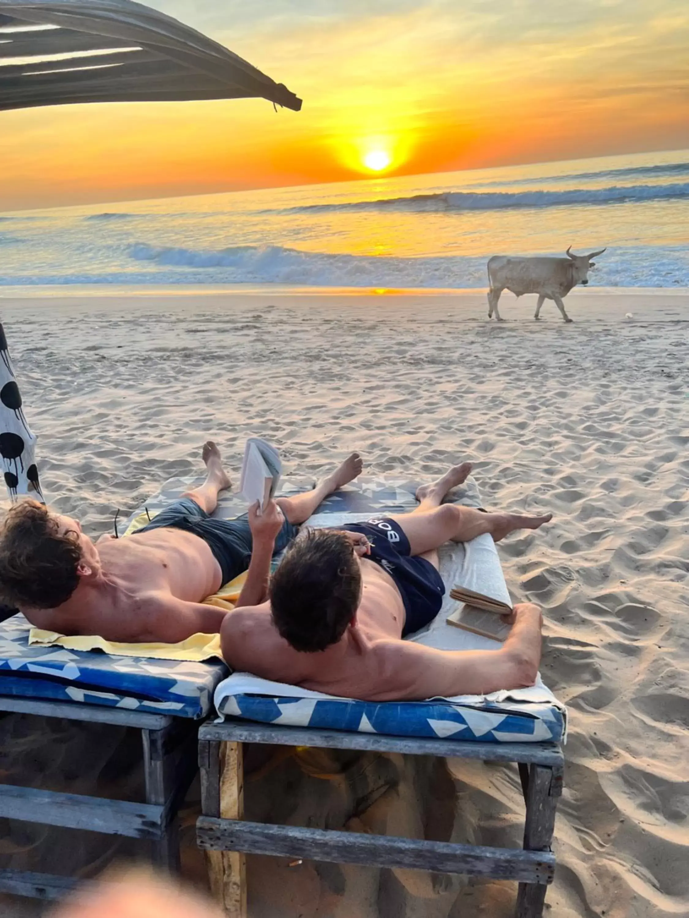 Nemasu Eco-lodge Nemasu Eco-lodge