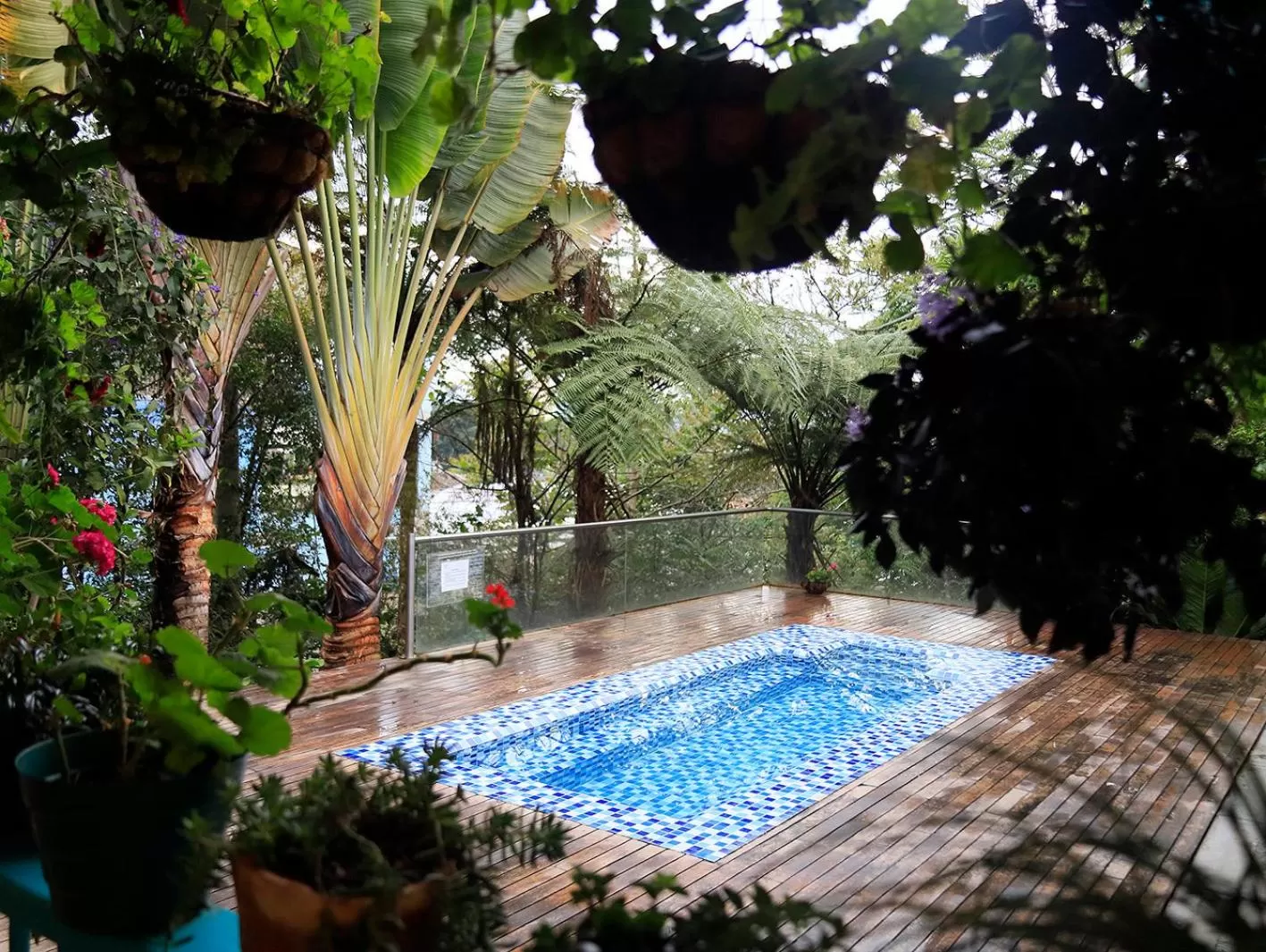 Swimming Pool in Casa de las Dos Palmas