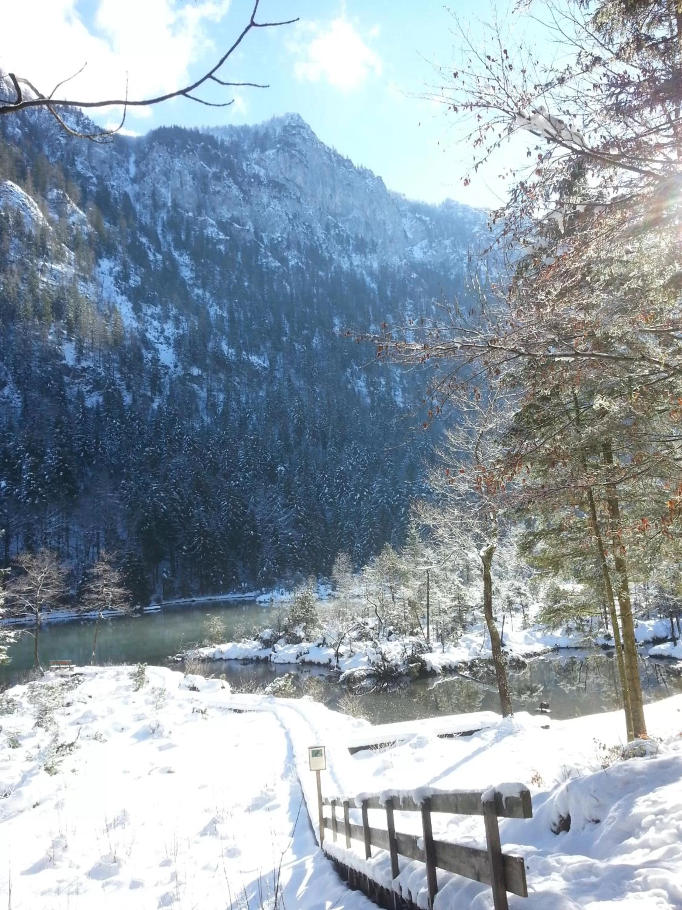 Natural landscape in Gästehaus Inzeller Hof