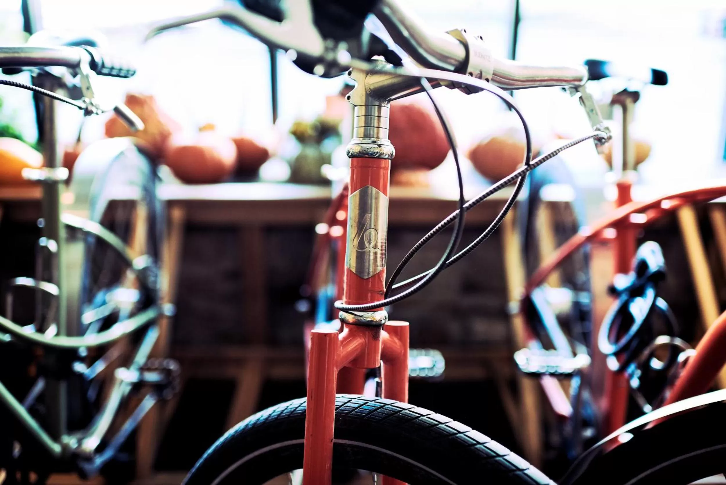 Cycling in Hotel Vermont Burlington