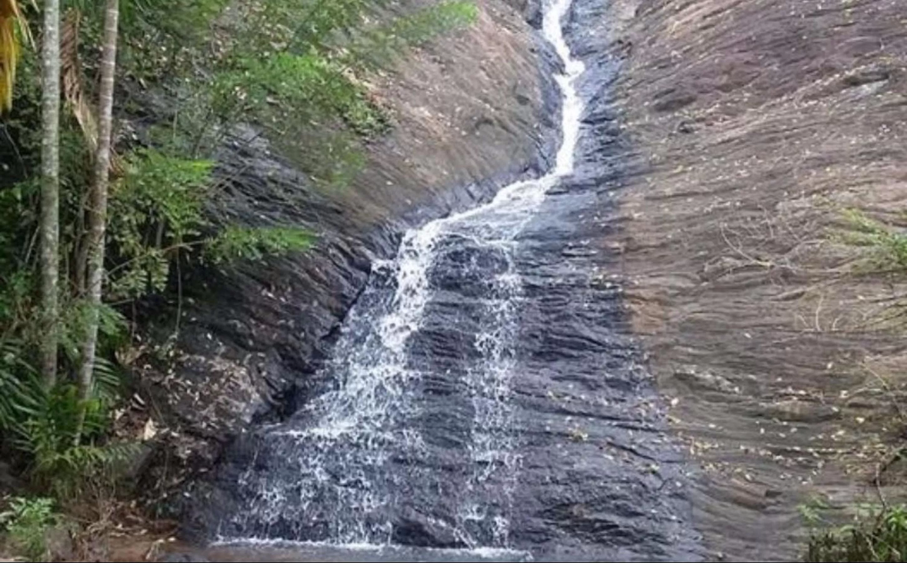 Natural landscape in Birds Park Polgahawela