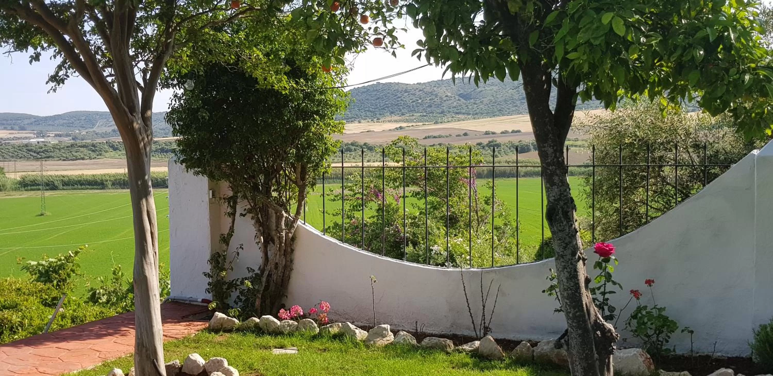 Garden in Hacienda El Santiscal