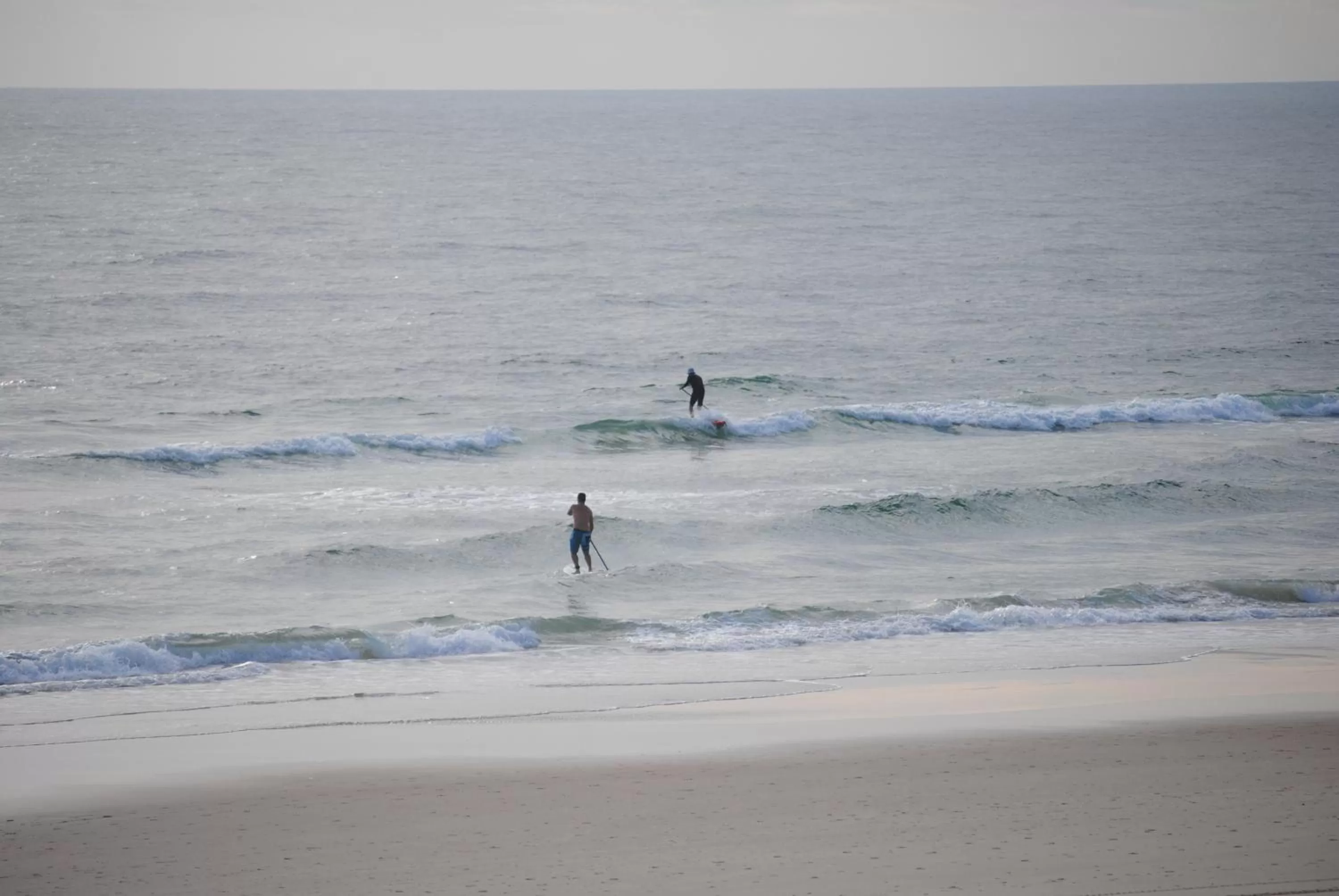 Area and facilities in Albatross North Apartments