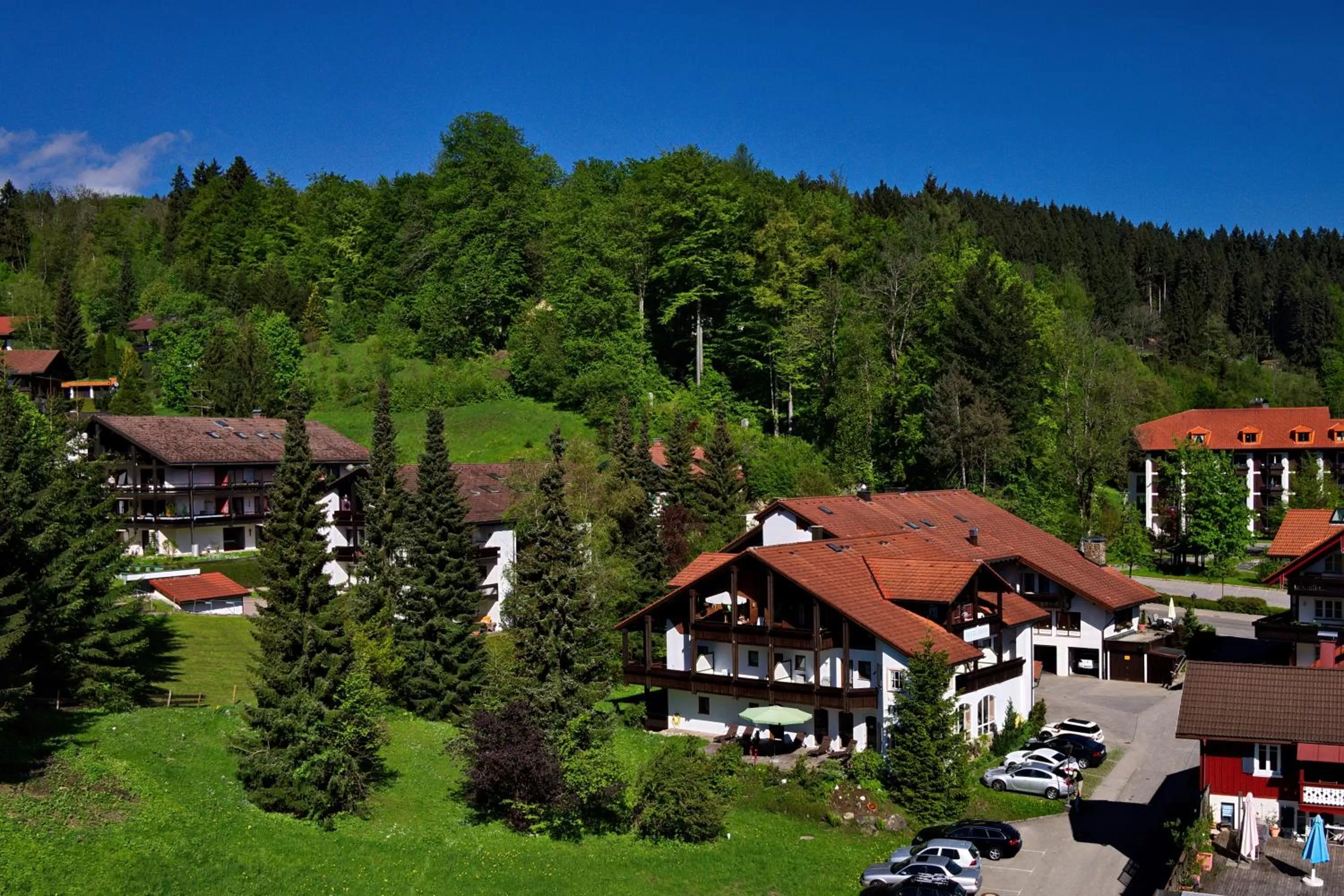 Facade/entrance, Bird's-eye View in DIANA Naturpark Hotel - mit Oberstaufen Plus Golf-Gästekarte