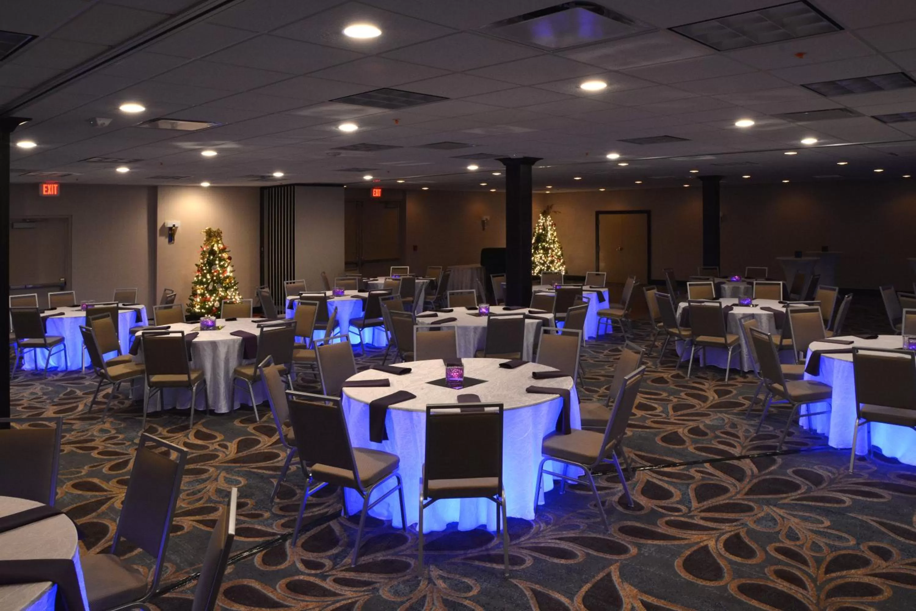 Banquet/Function facilities in Holiday Inn Canton-Belden Village by IHG
