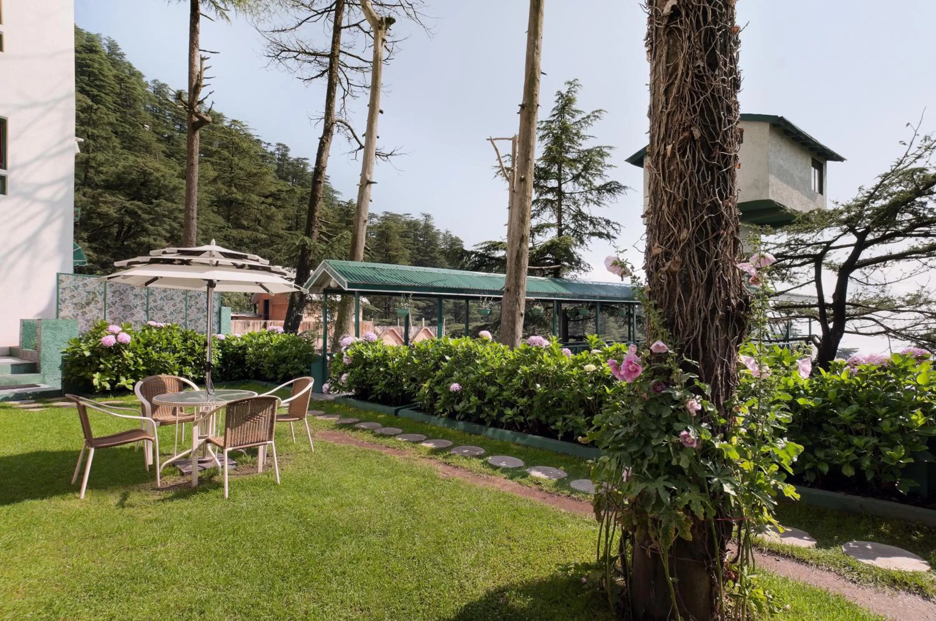 Garden in Honeymoon Inn Shimla