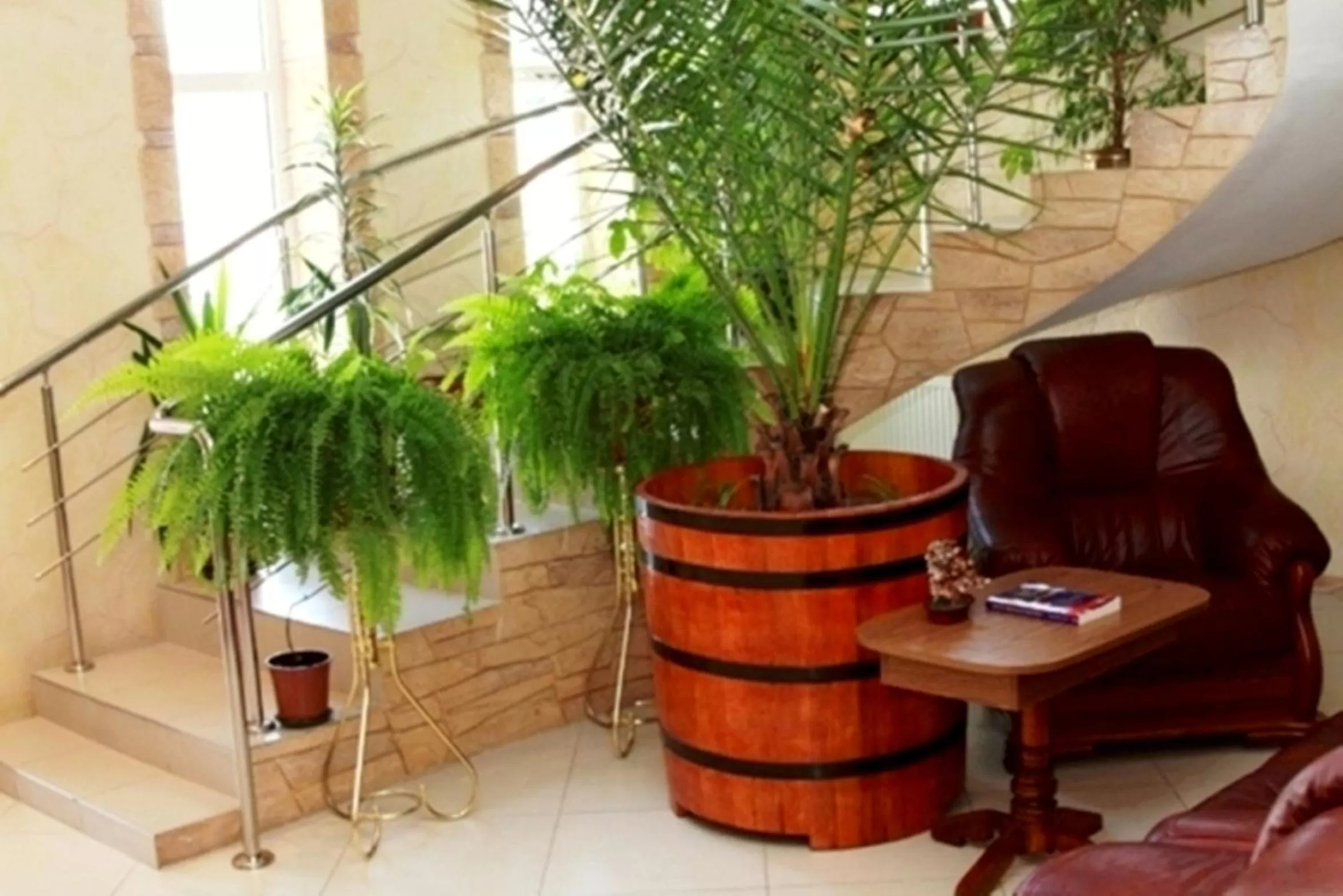 Communal lounge/ TV room in Edem Hotel