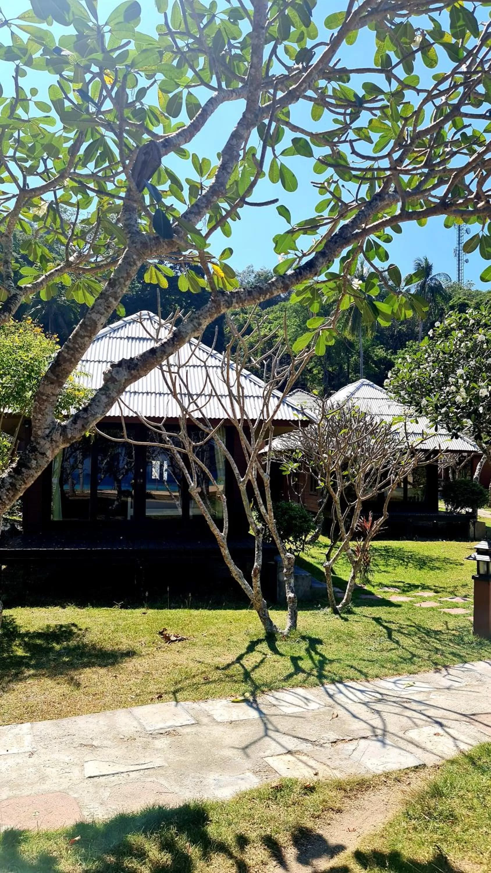 Property building in Thanya Beach Resort - SHA Plus