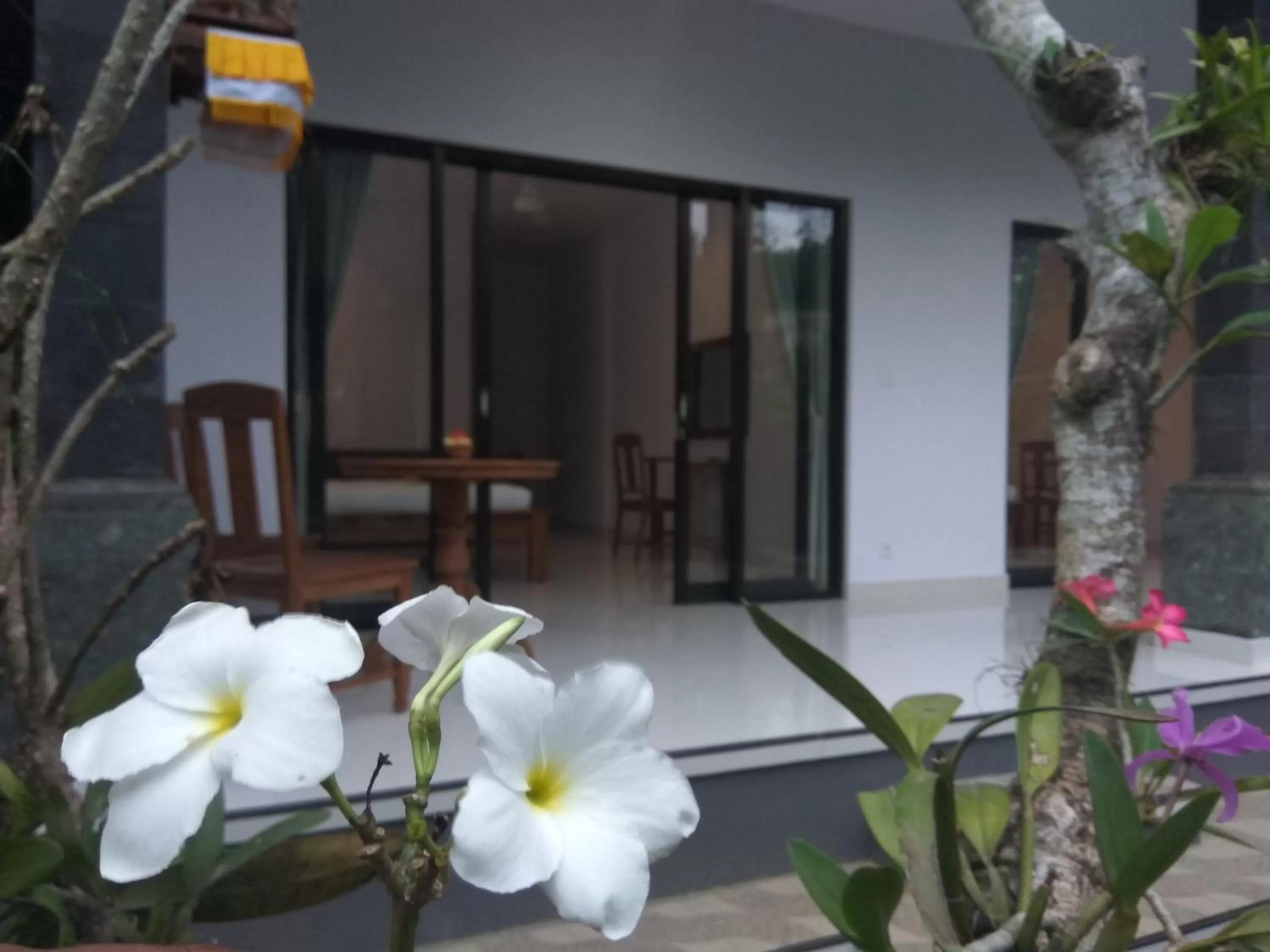 Day in The Hidden Bali Inn