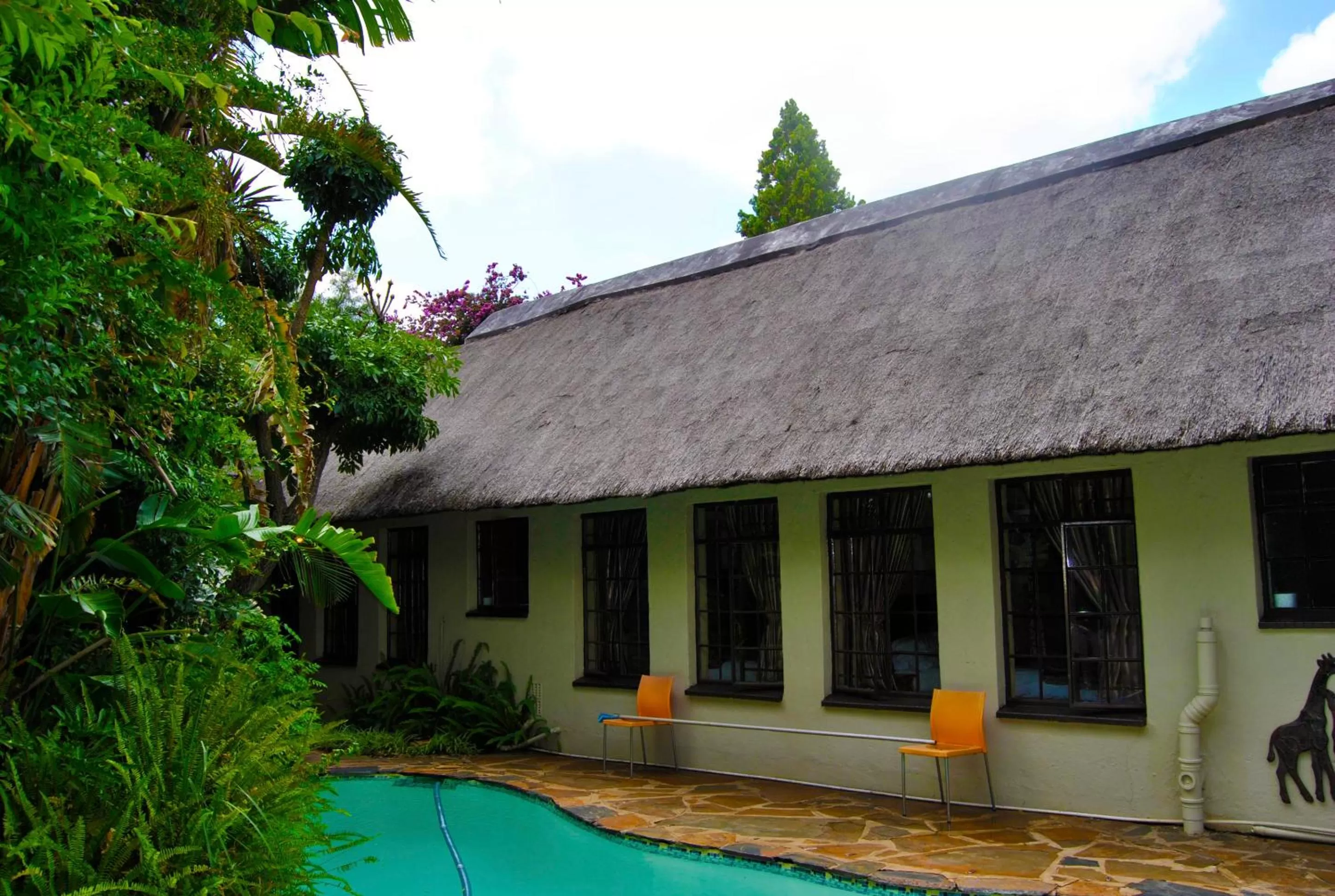 Garden, Swimming Pool in Birch Tree Cottage