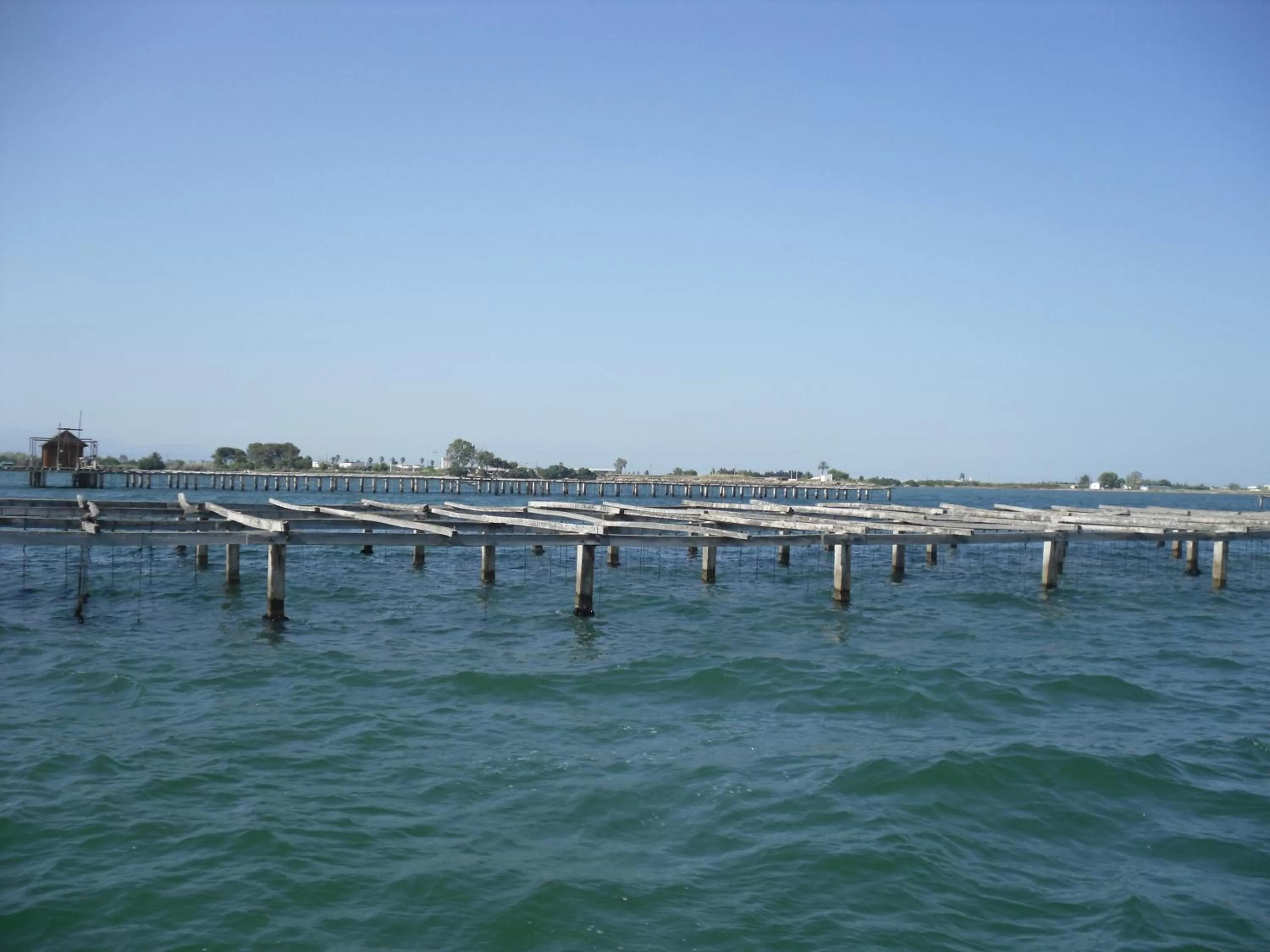 Area and facilities in Hotel Can Batiste