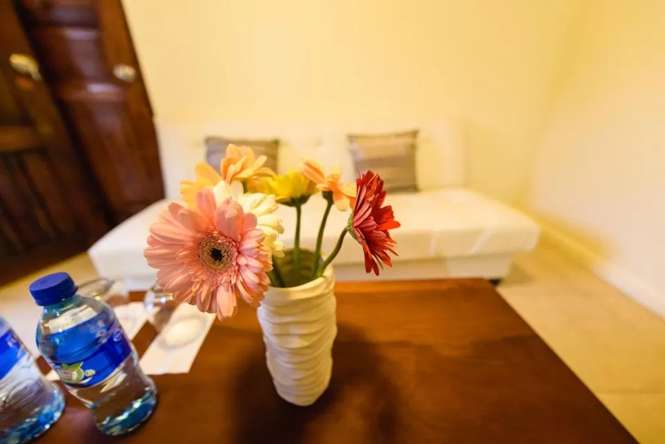 Photo of the whole room in Hotel Flor De Sarta