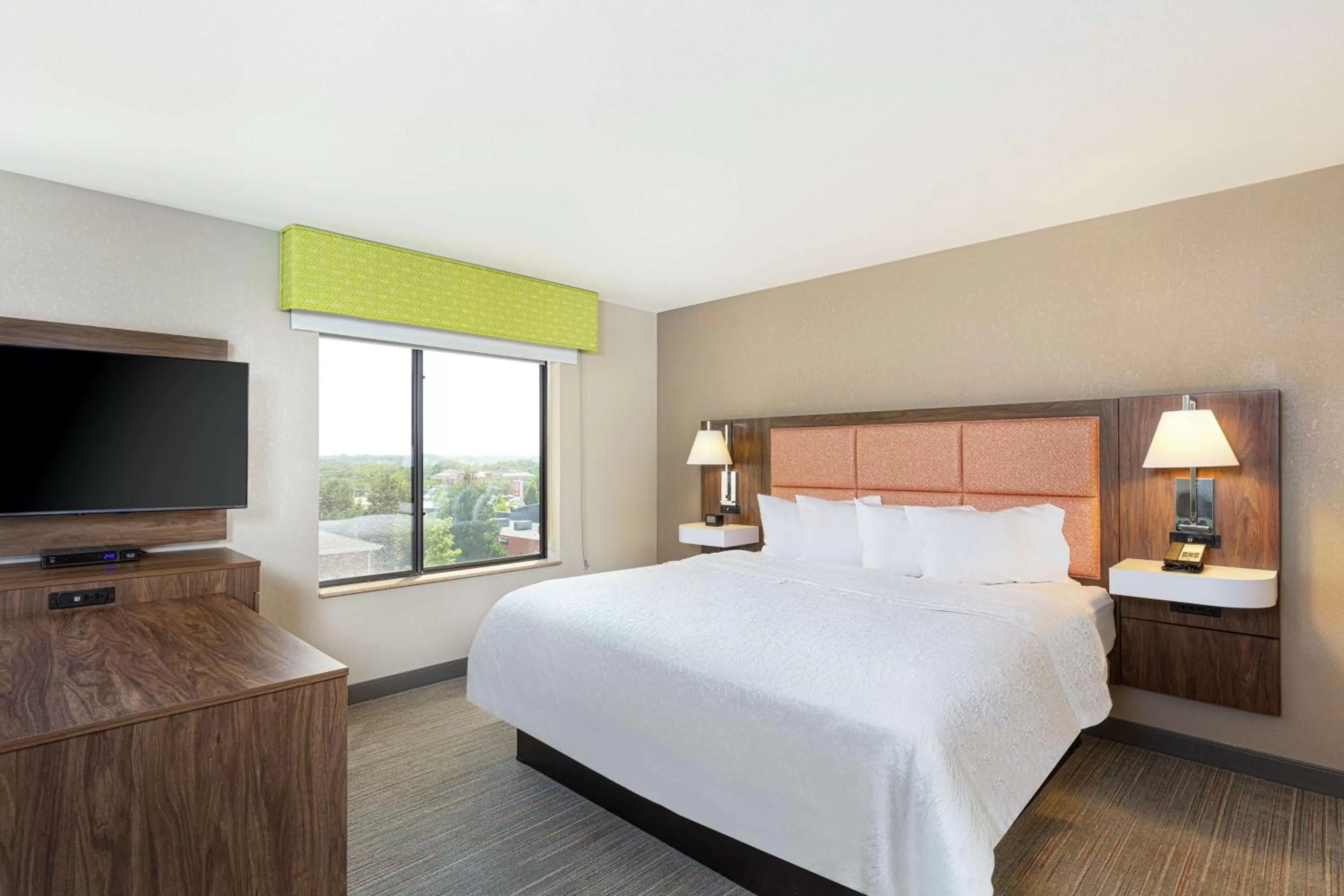 Newly Renovated King Suite in Newly Renovated Hampton Inn Omaha West Lakeside